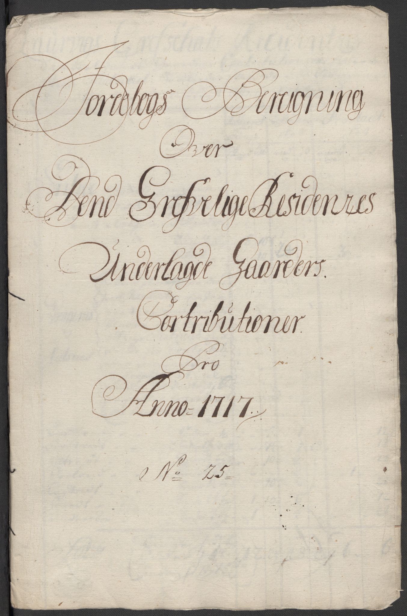 Rentekammeret inntil 1814, Reviderte regnskaper, Fogderegnskap, RA/EA-4092/R33/L1987: Fogderegnskap Larvik grevskap, 1716-1717, s. 607