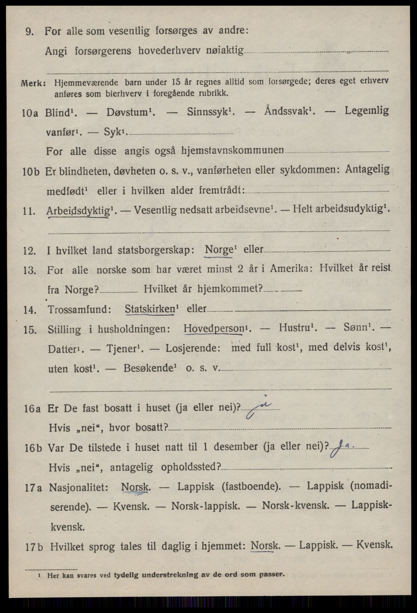 SAT, Folketelling 1920 for 1635 Rennebu herred, 1920, s. 1919