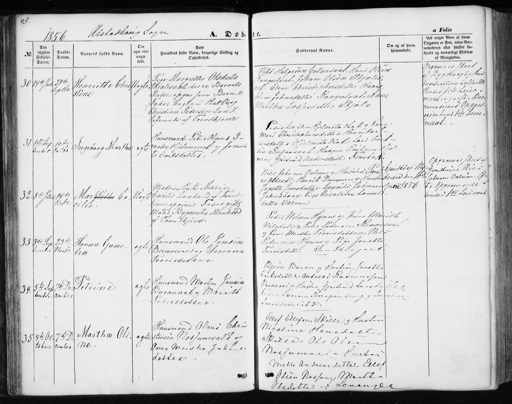 Ministerialprotokoller, klokkerbøker og fødselsregistre - Nord-Trøndelag, SAT/A-1458/717/L0154: Ministerialbok nr. 717A07 /1, 1850-1862, s. 45