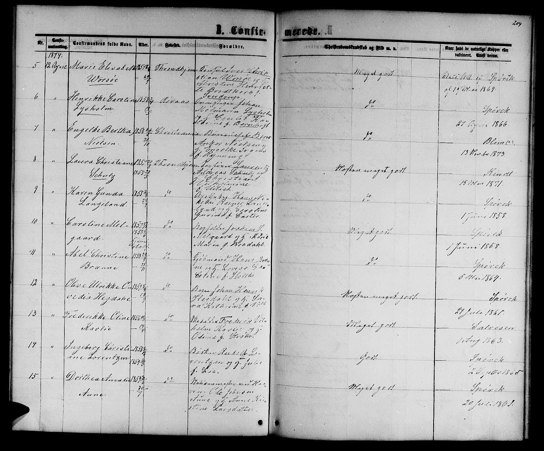 Ministerialprotokoller, klokkerbøker og fødselsregistre - Sør-Trøndelag, AV/SAT-A-1456/601/L0087: Klokkerbok nr. 601C05, 1864-1881, s. 204