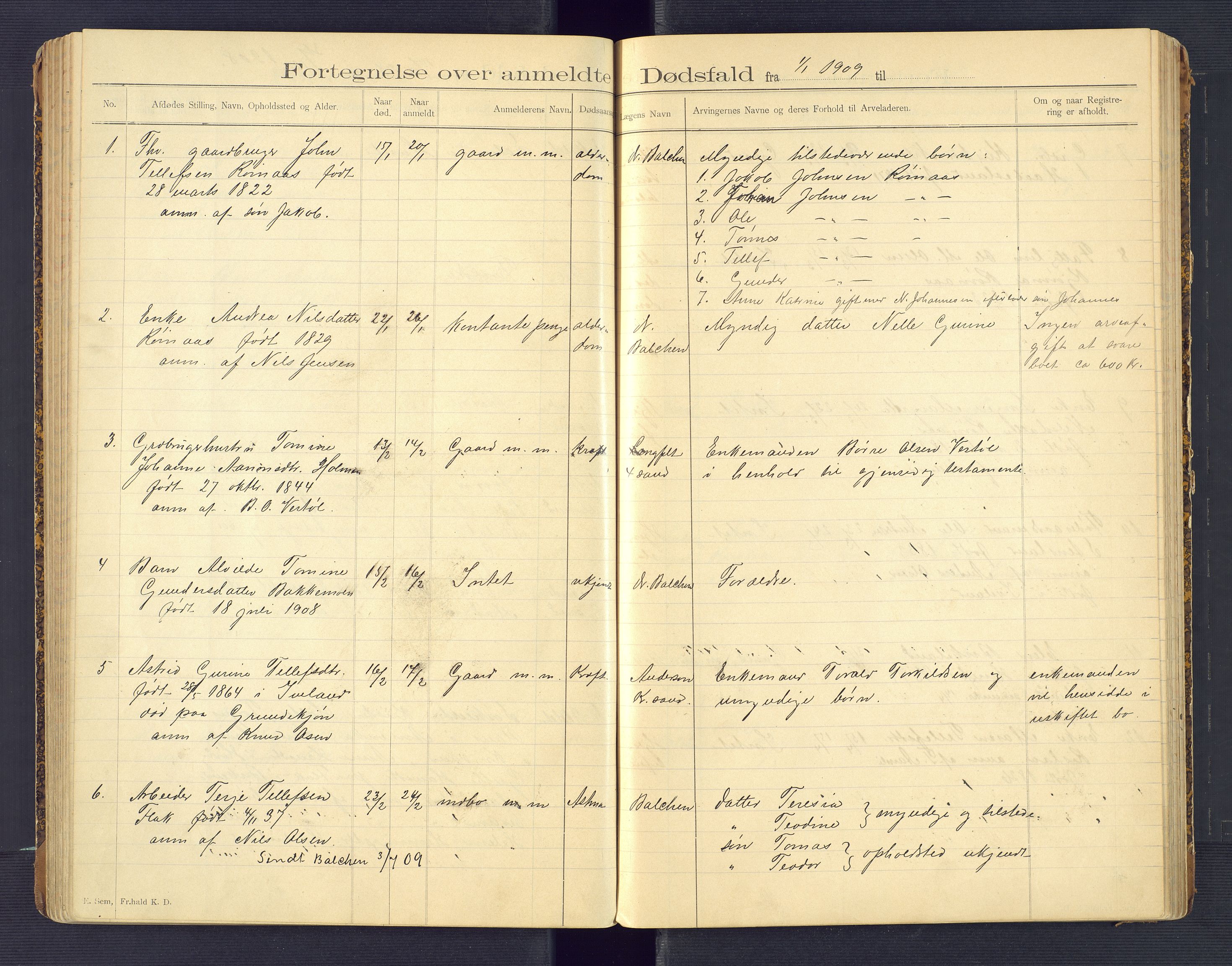 Birkenes lensmannskontor, AV/SAK-1241-0004/F/Fe/L0001/0001: Dødsfallsprotokoller / Dødsfallsprotokoll, 1898-1920