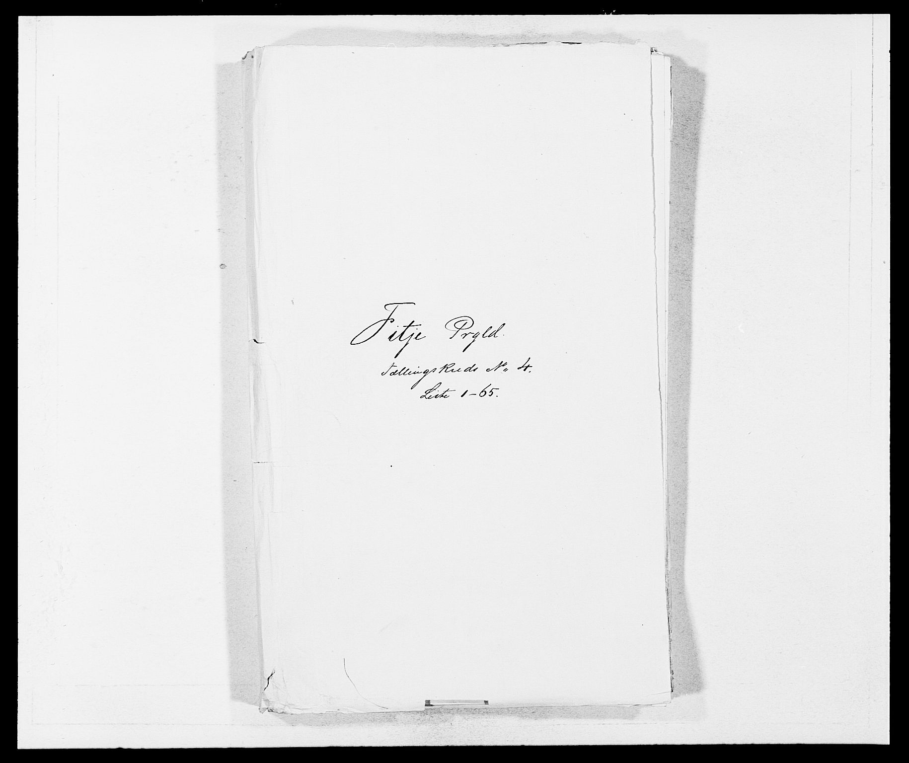 SAB, Folketelling 1875 for 1222P Fitjar prestegjeld, 1875, s. 446