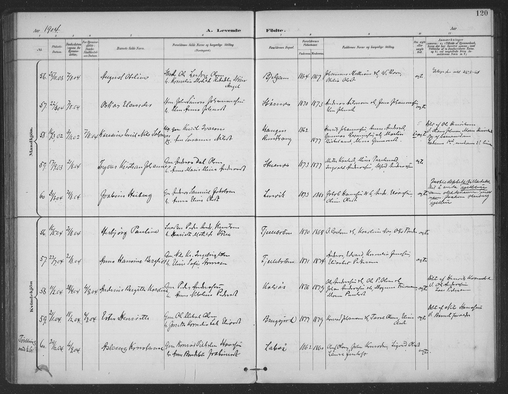 Ministerialprotokoller, klokkerbøker og fødselsregistre - Nordland, AV/SAT-A-1459/863/L0899: Ministerialbok nr. 863A11, 1897-1906, s. 120