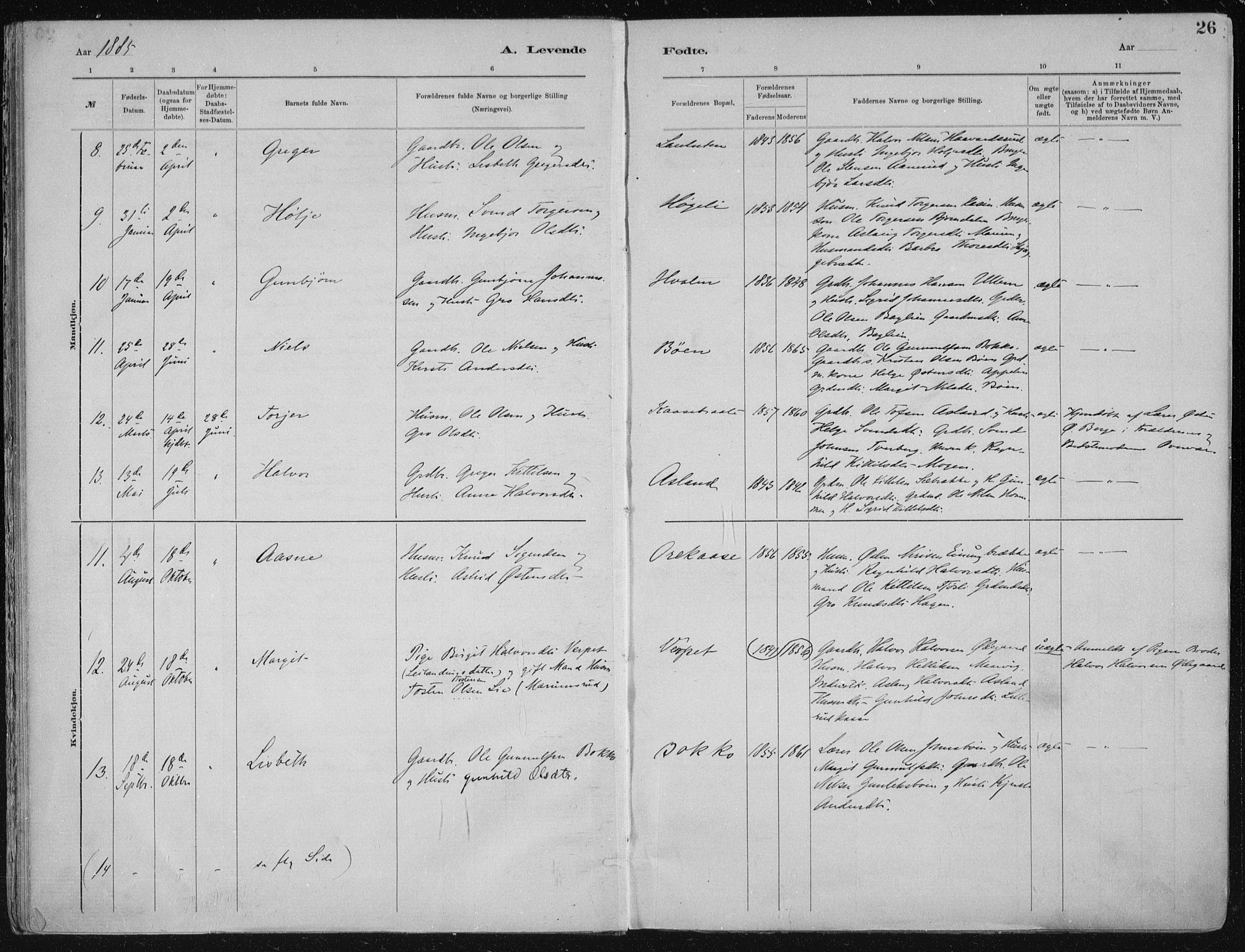 Tinn kirkebøker, AV/SAKO-A-308/F/Fa/L0007: Ministerialbok nr. I 7, 1878-1922, s. 26
