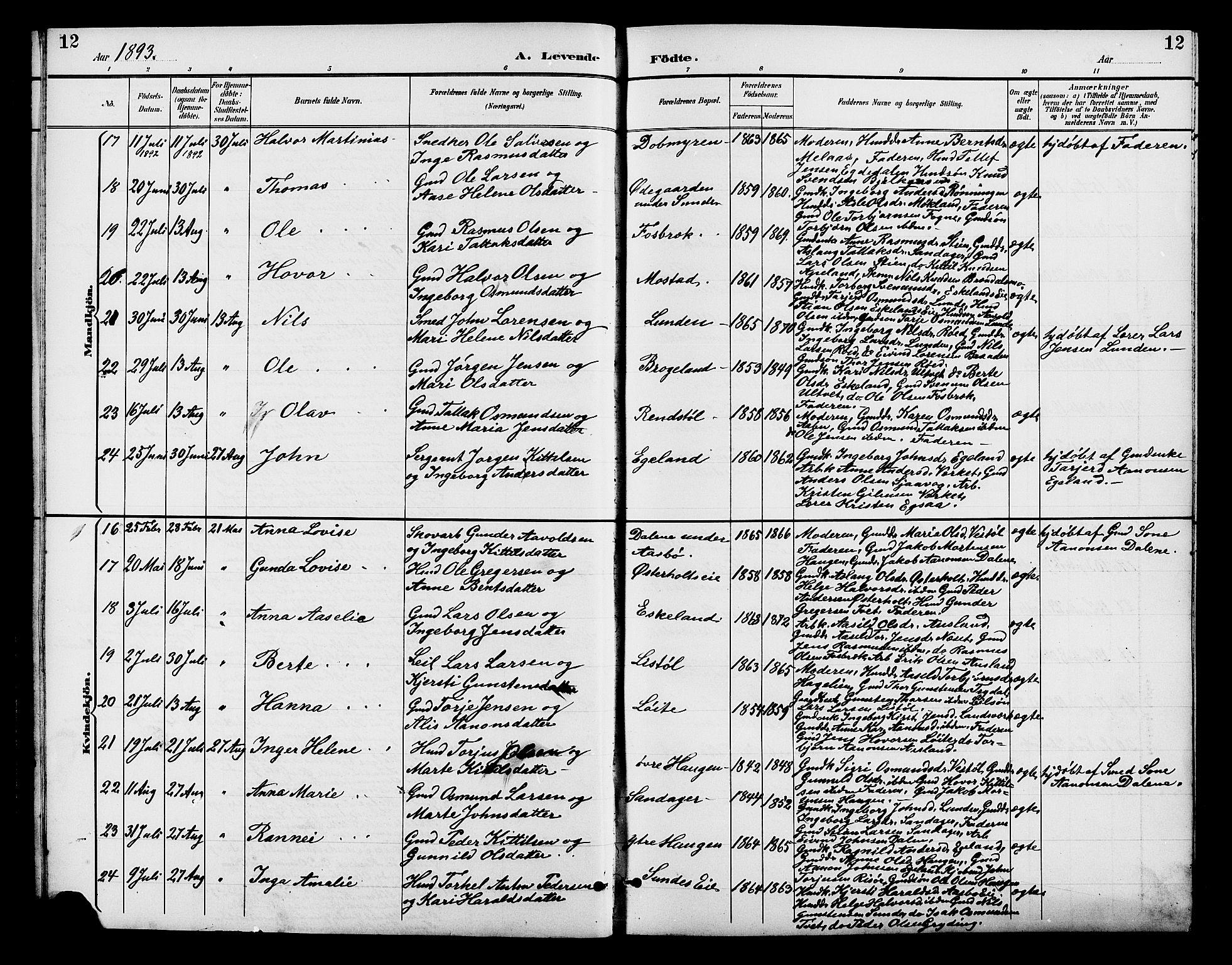 Gjerstad sokneprestkontor, AV/SAK-1111-0014/F/Fb/Fba/L0007: Klokkerbok nr. B 7, 1891-1908, s. 12