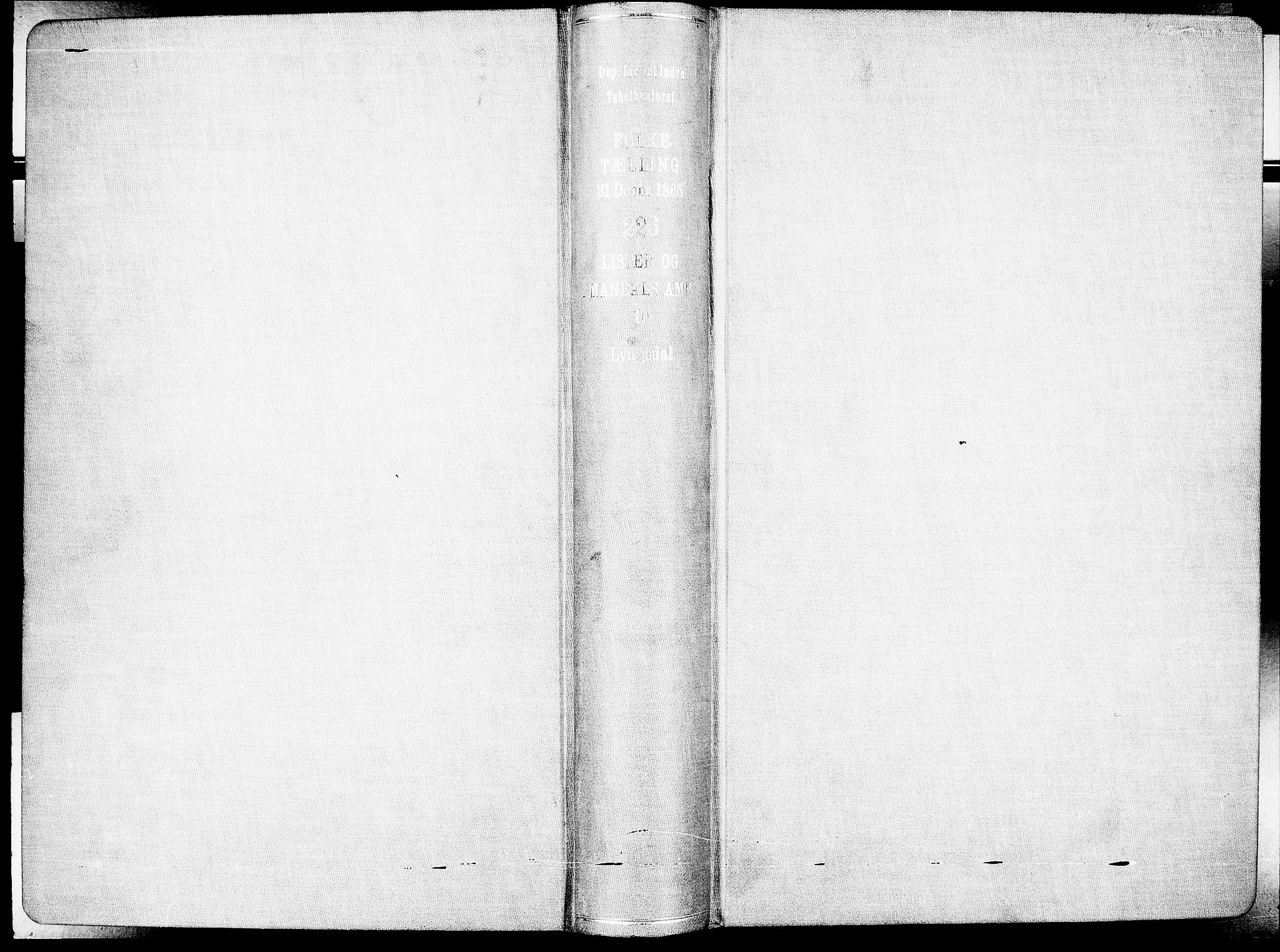 RA, Folketelling 1865 for 1032P Lyngdal prestegjeld, 1865, s. 2