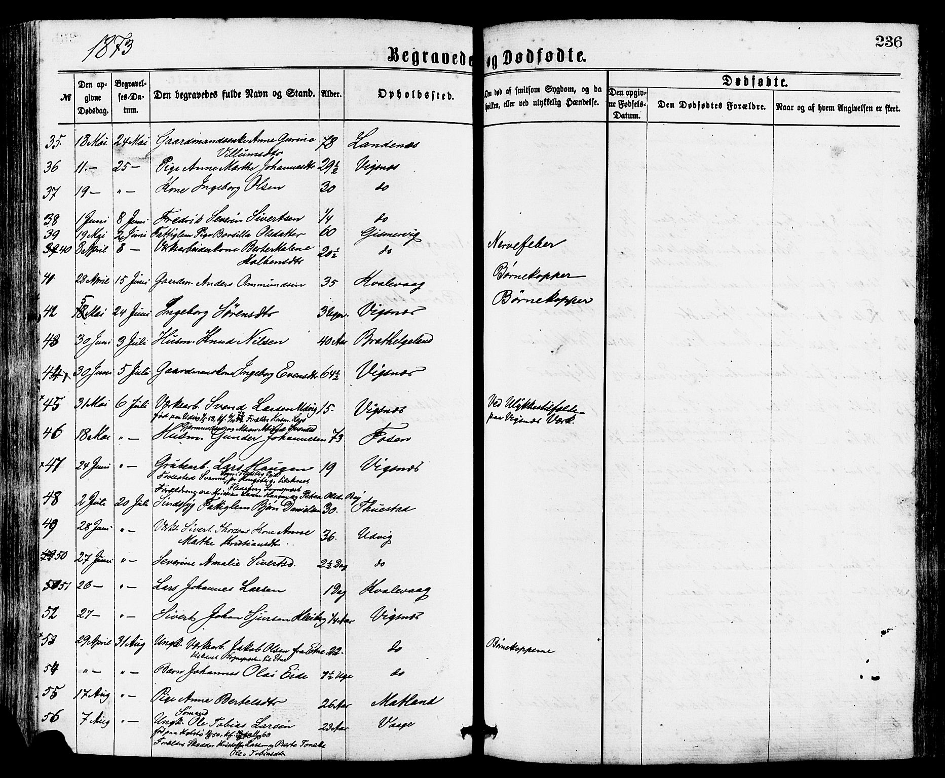 Avaldsnes sokneprestkontor, AV/SAST-A -101851/H/Ha/Haa/L0012: Ministerialbok nr. A 12, 1865-1880, s. 236