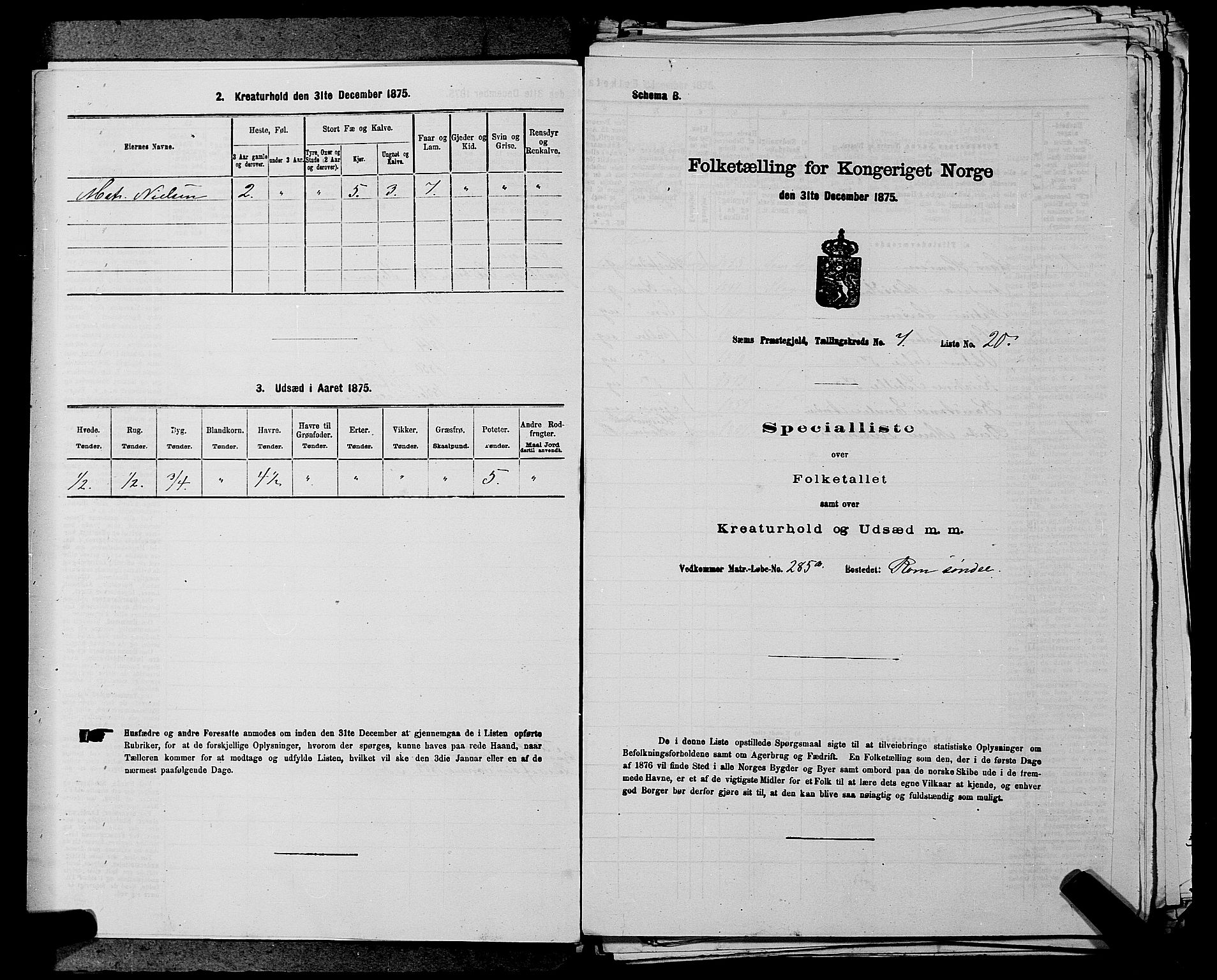 SAKO, Folketelling 1875 for 0721P Sem prestegjeld, 1875, s. 1172
