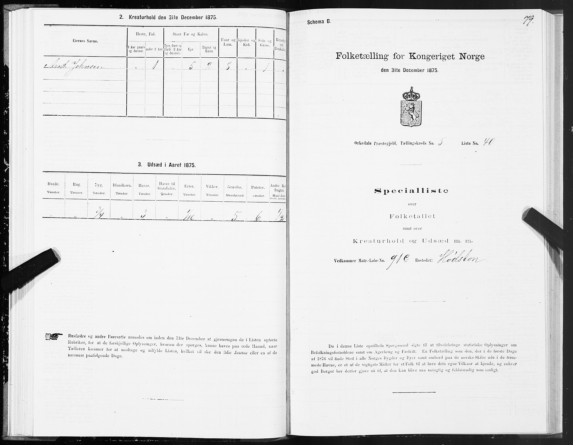 SAT, Folketelling 1875 for 1638P Orkdal prestegjeld, 1875, s. 3079