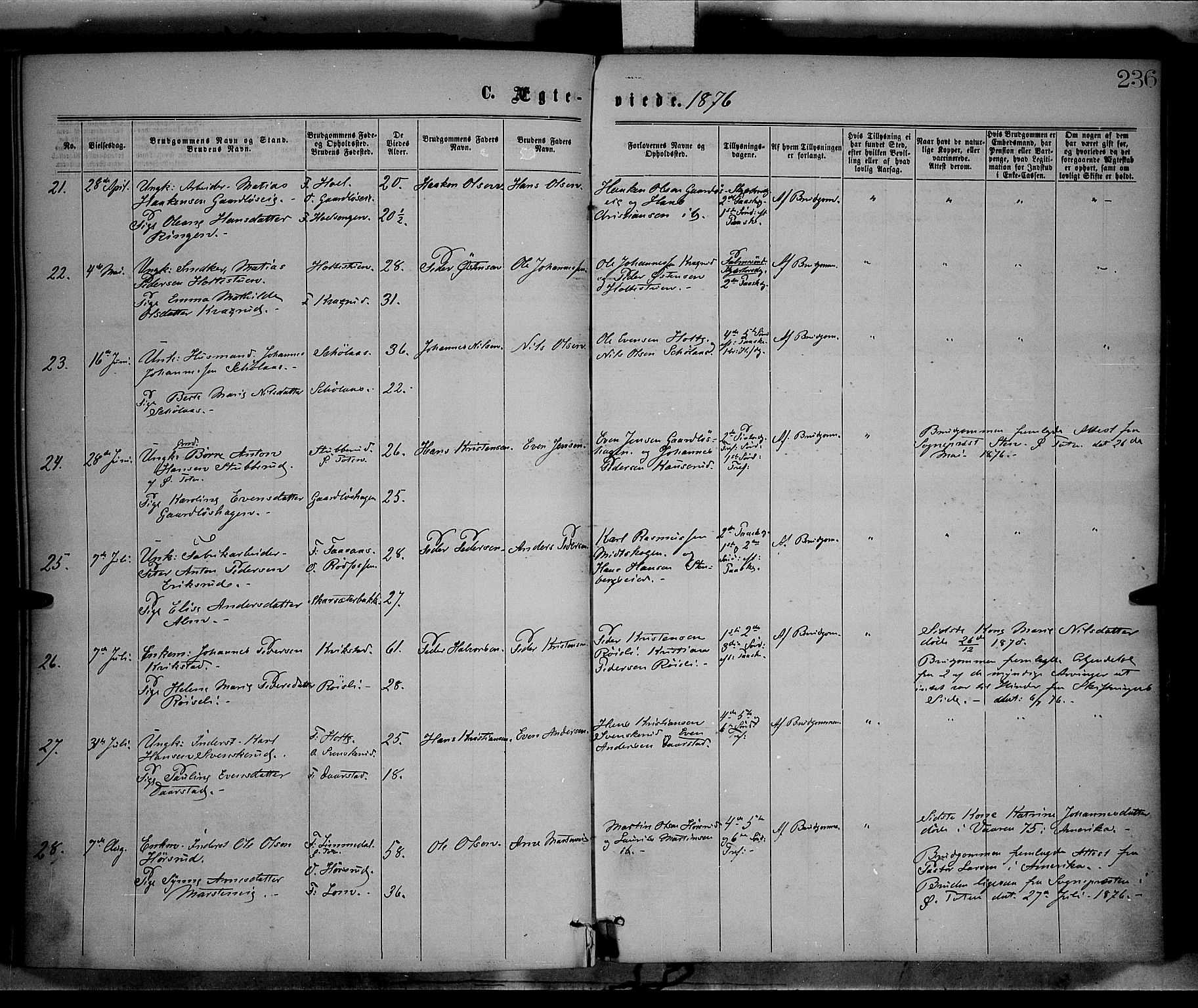 Vestre Toten prestekontor, AV/SAH-PREST-108/H/Ha/Haa/L0008: Ministerialbok nr. 8, 1870-1877, s. 236