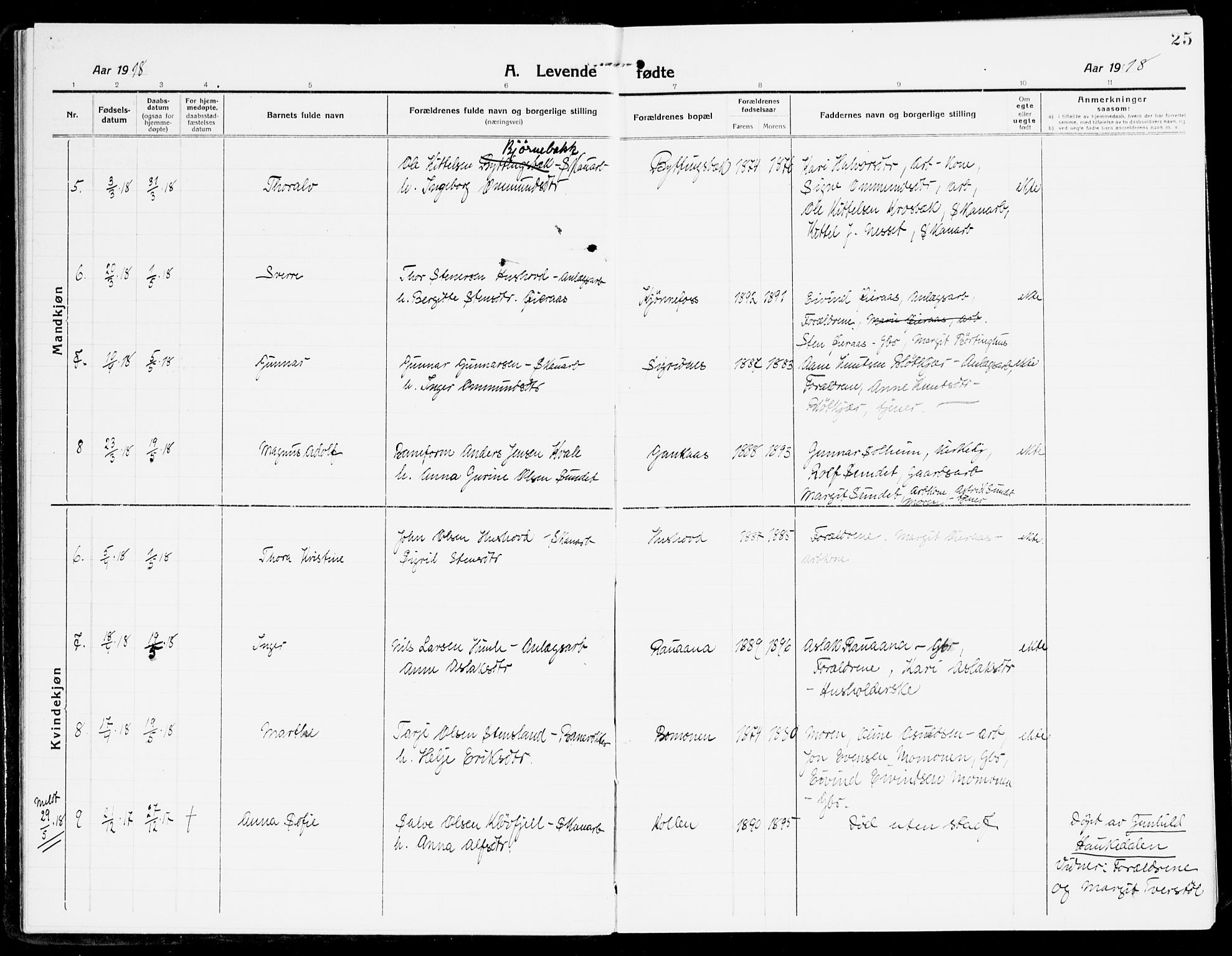 Åmli sokneprestkontor, AV/SAK-1111-0050/F/Fa/Fac/L0013: Ministerialbok nr. A 13, 1914-1933, s. 25