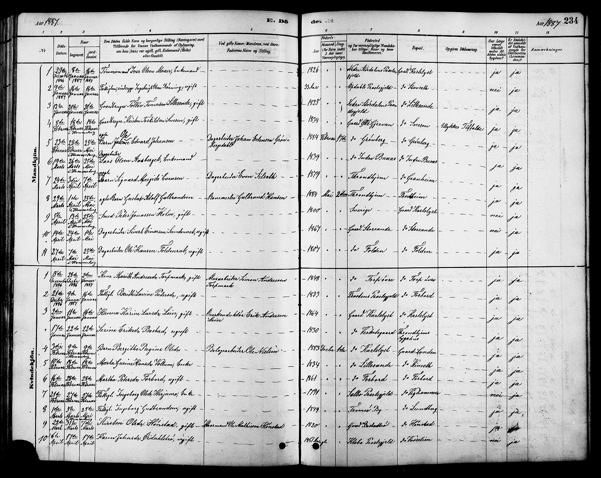 Ministerialprotokoller, klokkerbøker og fødselsregistre - Sør-Trøndelag, SAT/A-1456/616/L0423: Klokkerbok nr. 616C06, 1878-1903, s. 234