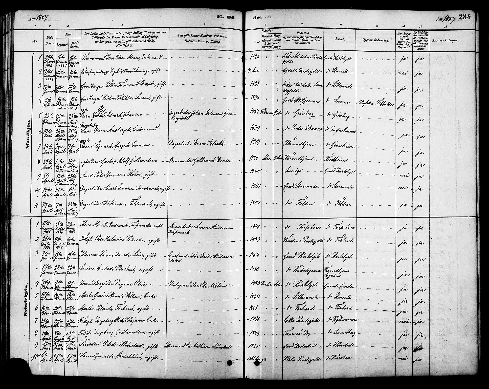 Ministerialprotokoller, klokkerbøker og fødselsregistre - Sør-Trøndelag, AV/SAT-A-1456/616/L0423: Klokkerbok nr. 616C06, 1878-1903, s. 234