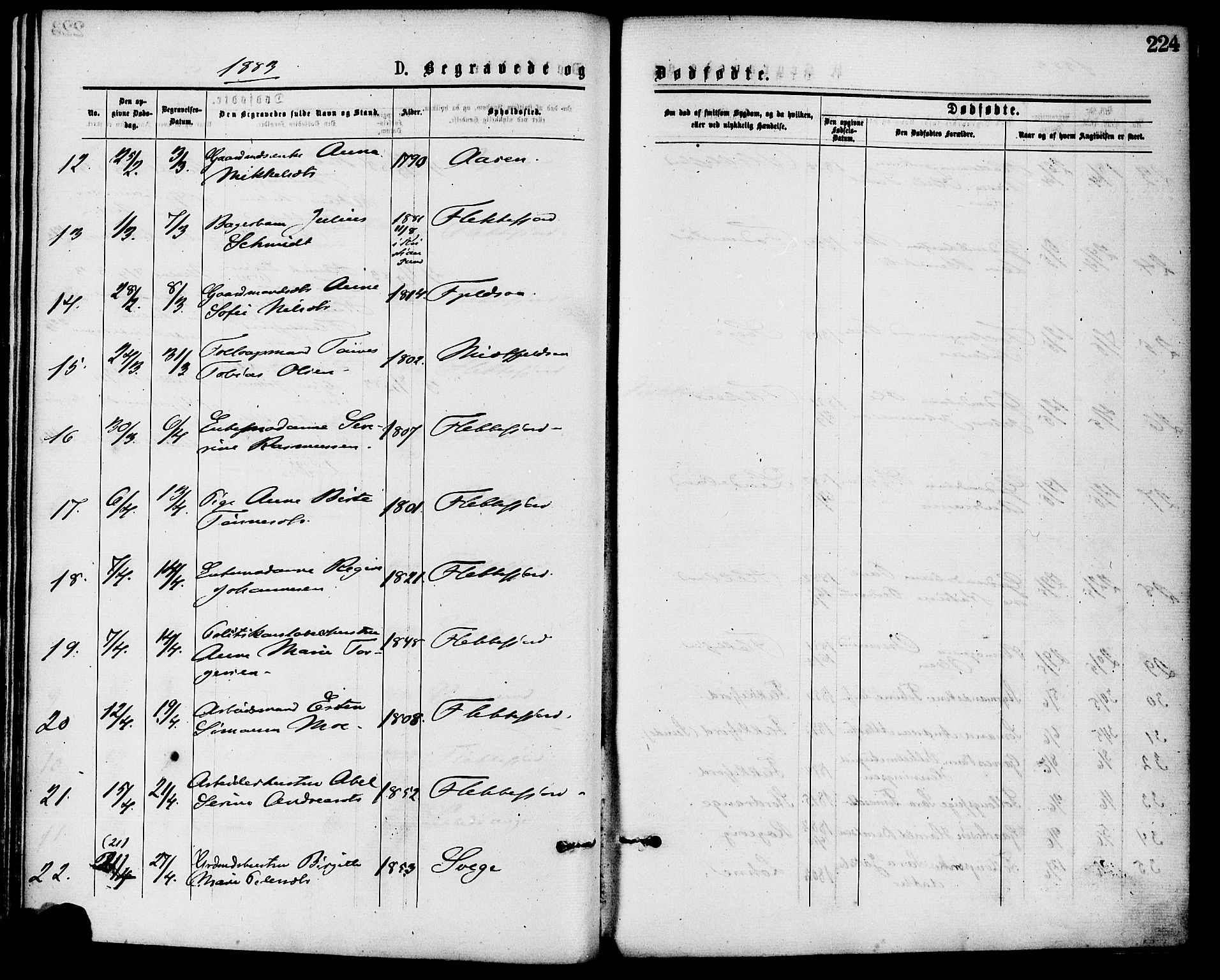 Flekkefjord sokneprestkontor, AV/SAK-1111-0012/F/Fa/Fac/L0007: Ministerialbok nr. A 7, 1875-1885, s. 224