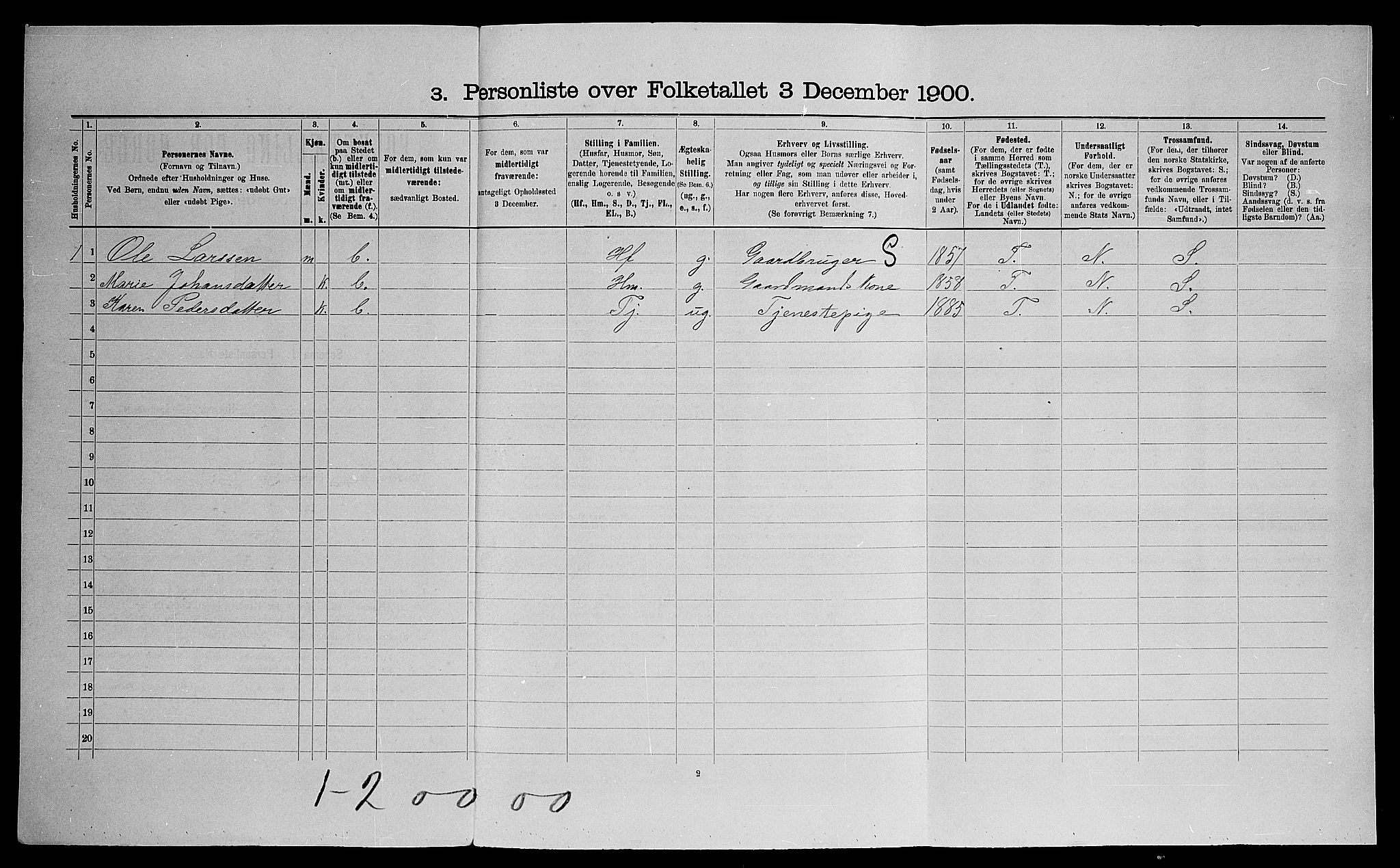 SAO, Folketelling 1900 for 0236 Nes herred, 1900