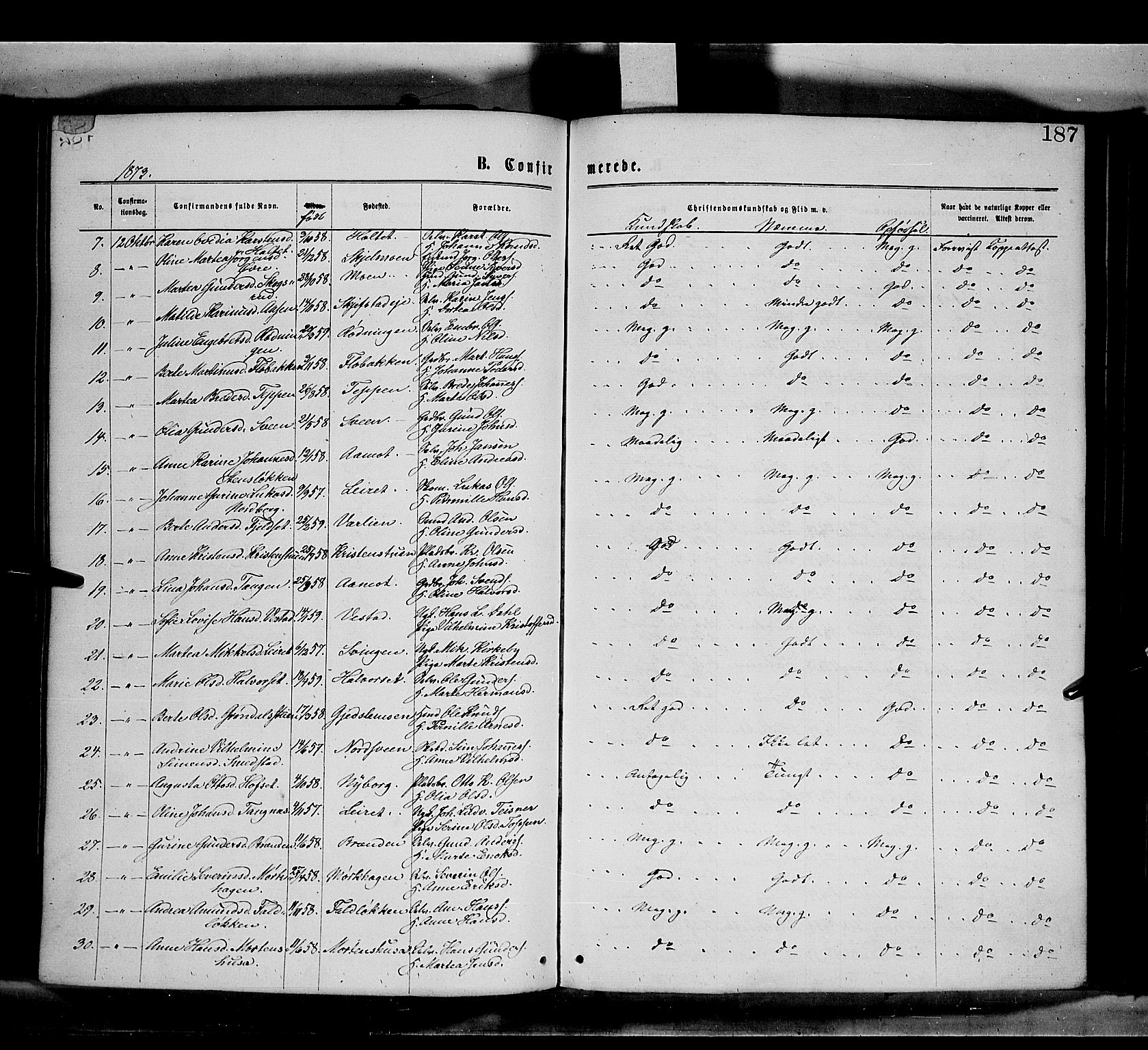 Elverum prestekontor, AV/SAH-PREST-044/H/Ha/Haa/L0011: Ministerialbok nr. 11, 1869-1879, s. 187