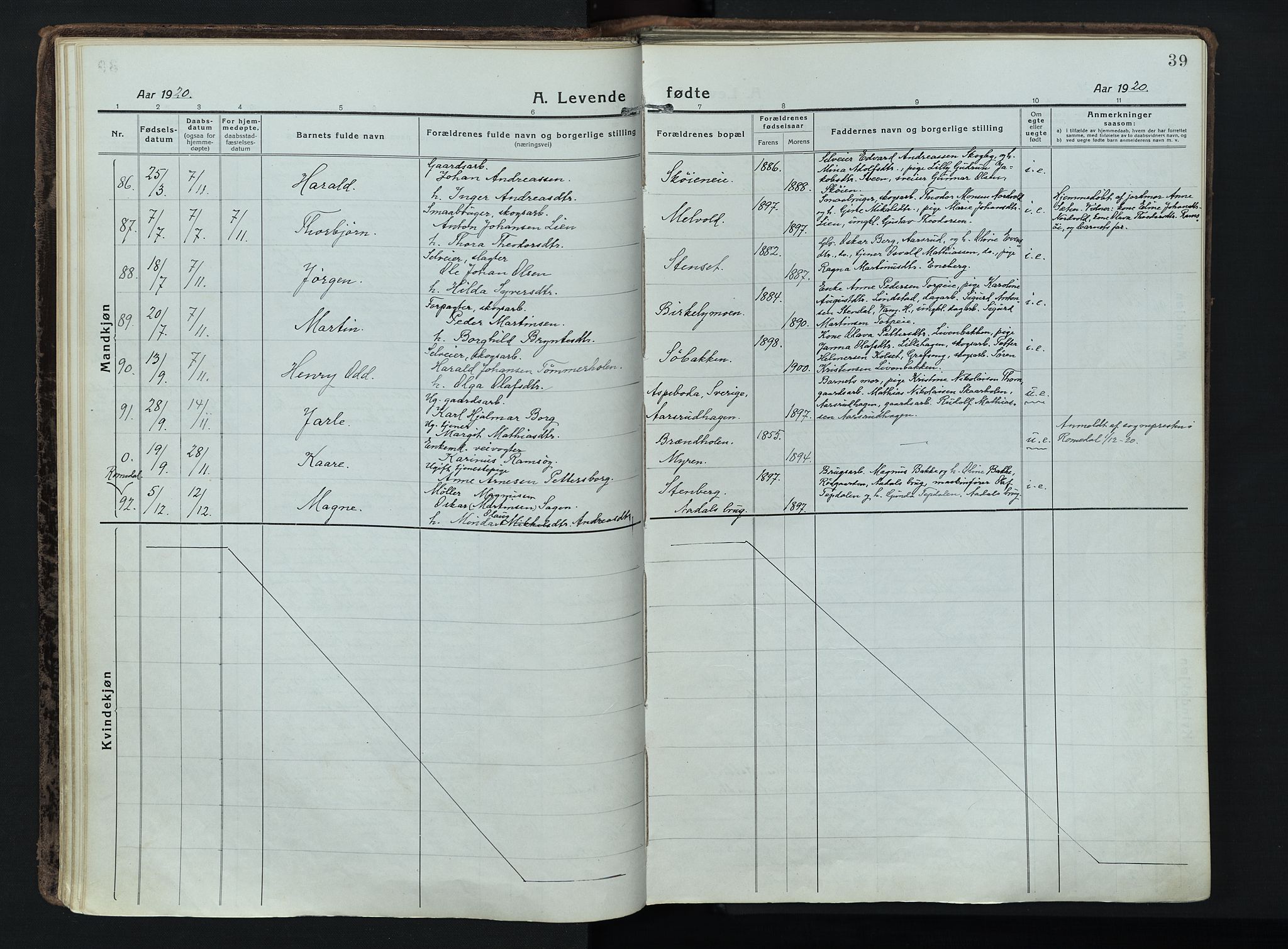 Løten prestekontor, AV/SAH-PREST-022/K/Ka/L0012: Ministerialbok nr. 12, 1918-1926, s. 39