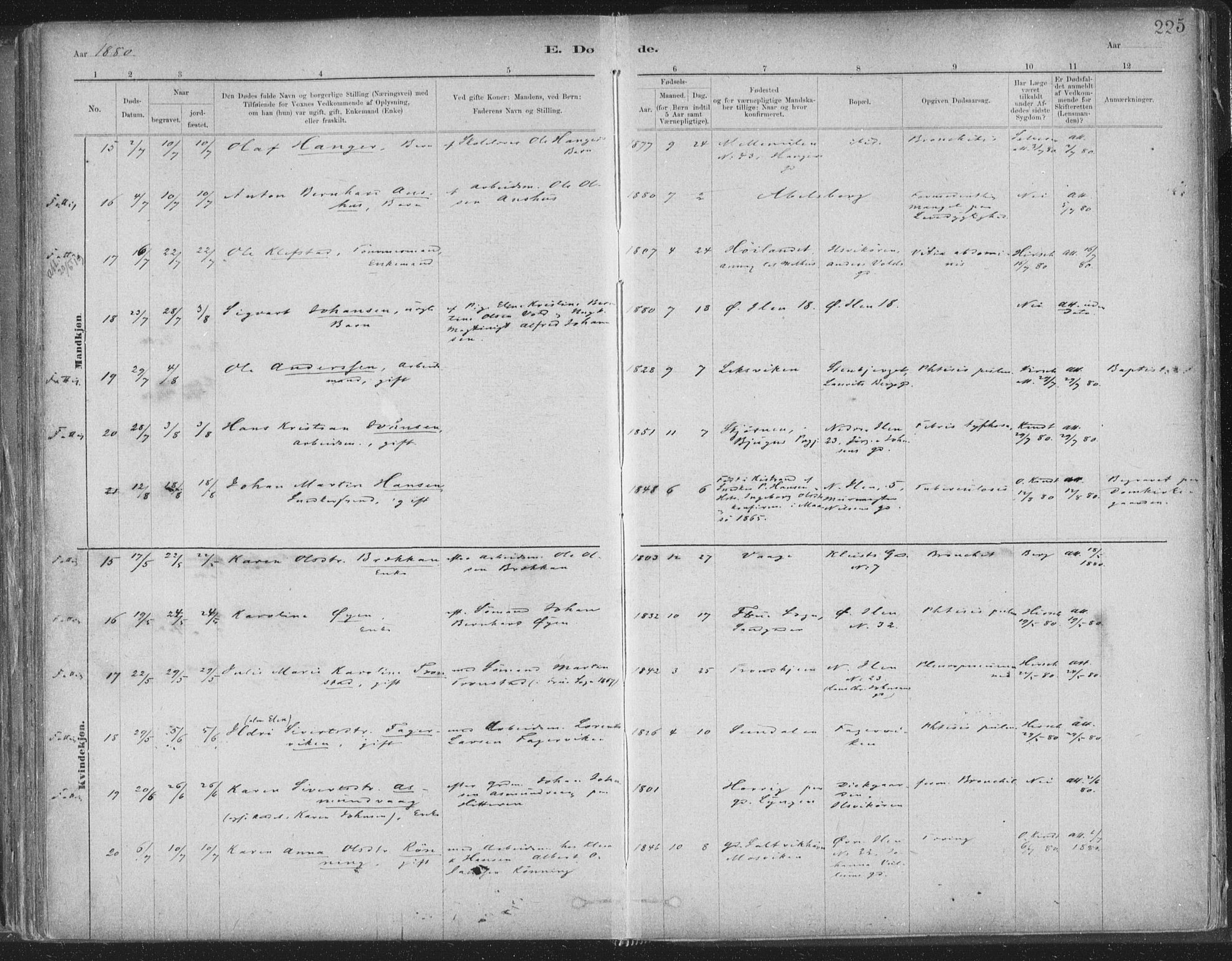 Ministerialprotokoller, klokkerbøker og fødselsregistre - Sør-Trøndelag, SAT/A-1456/603/L0162: Ministerialbok nr. 603A01, 1879-1895, s. 225