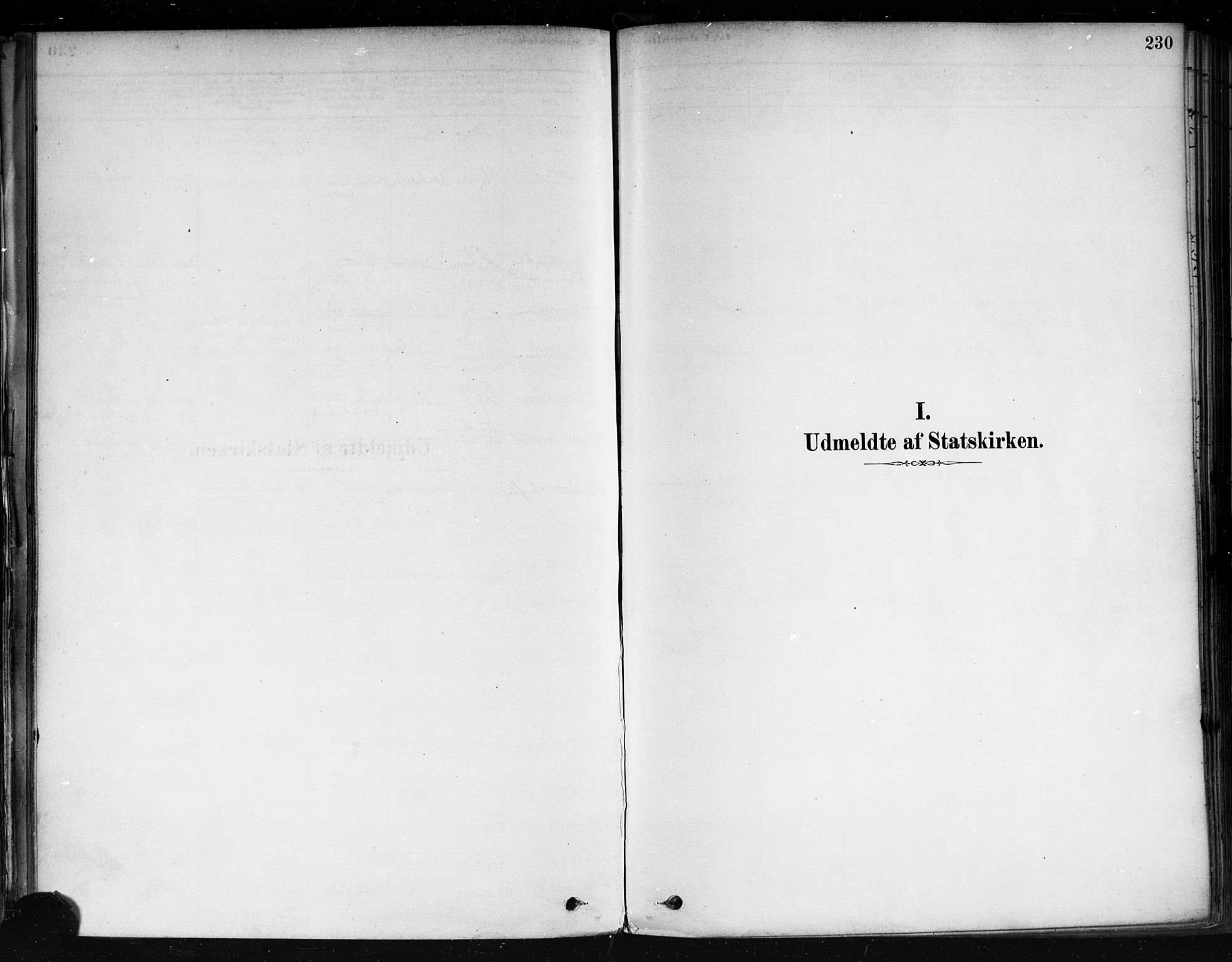 Strømsø kirkebøker, SAKO/A-246/F/Fa/L0022: Ministerialbok nr. I 22, 1879-1899, s. 230