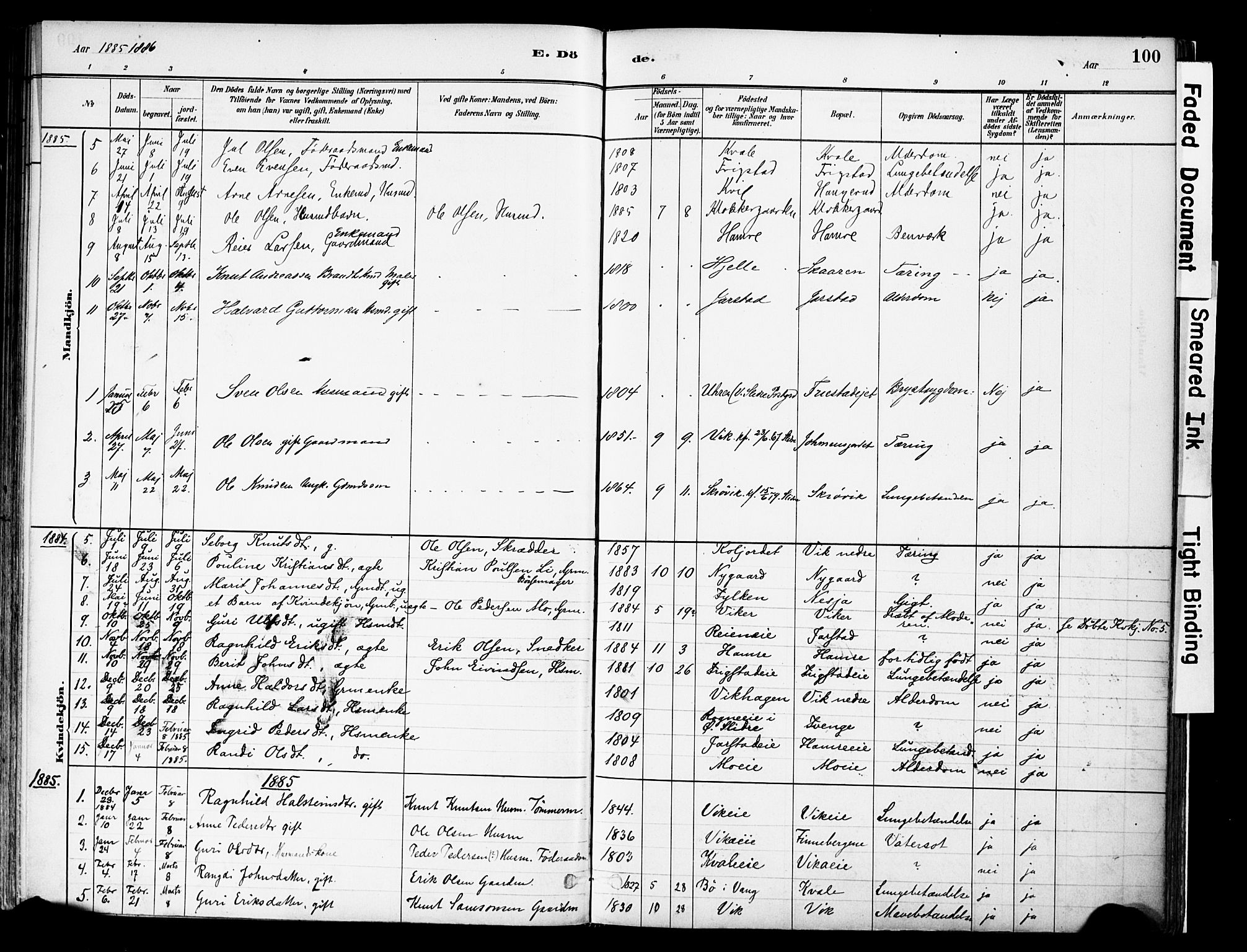 Vestre Slidre prestekontor, AV/SAH-PREST-136/H/Ha/Haa/L0004: Ministerialbok nr. 4, 1881-1911, s. 100