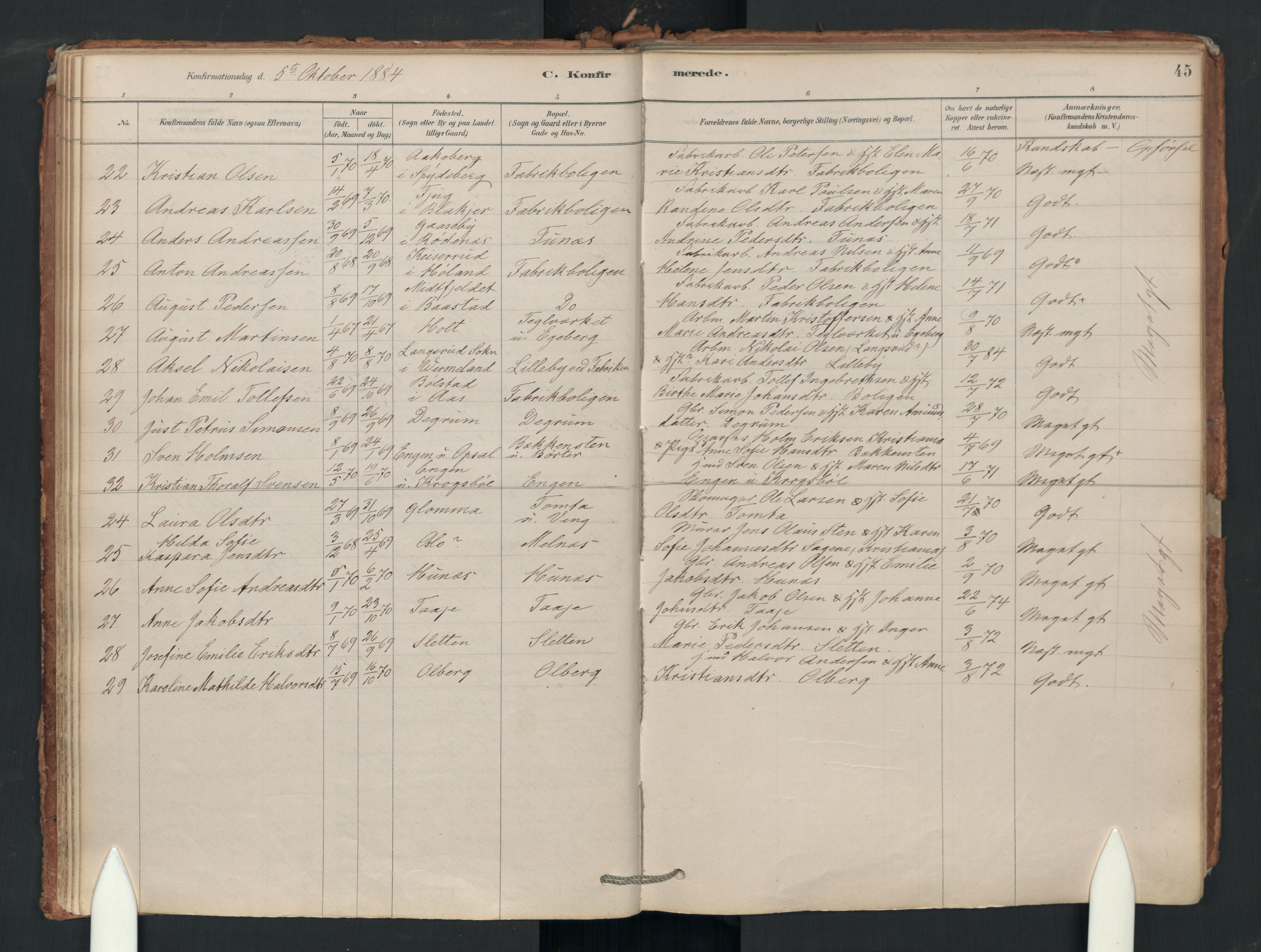 Enebakk prestekontor Kirkebøker, AV/SAO-A-10171c/F/Fa/L0018: Ministerialbok nr. I 18, 1877-1930, s. 45