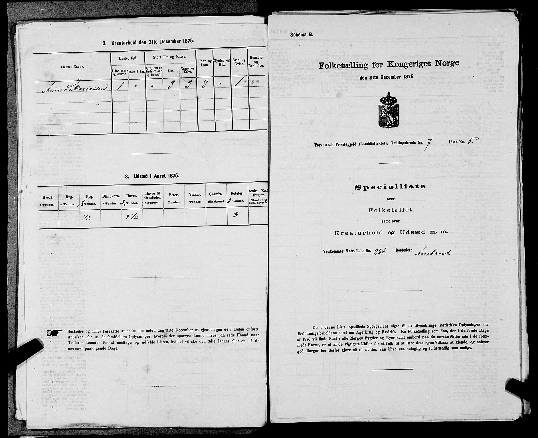 SAST, Folketelling 1875 for 1152L Torvastad prestegjeld, Torvastad sokn, Skåre sokn og Utsira sokn, 1875, s. 905