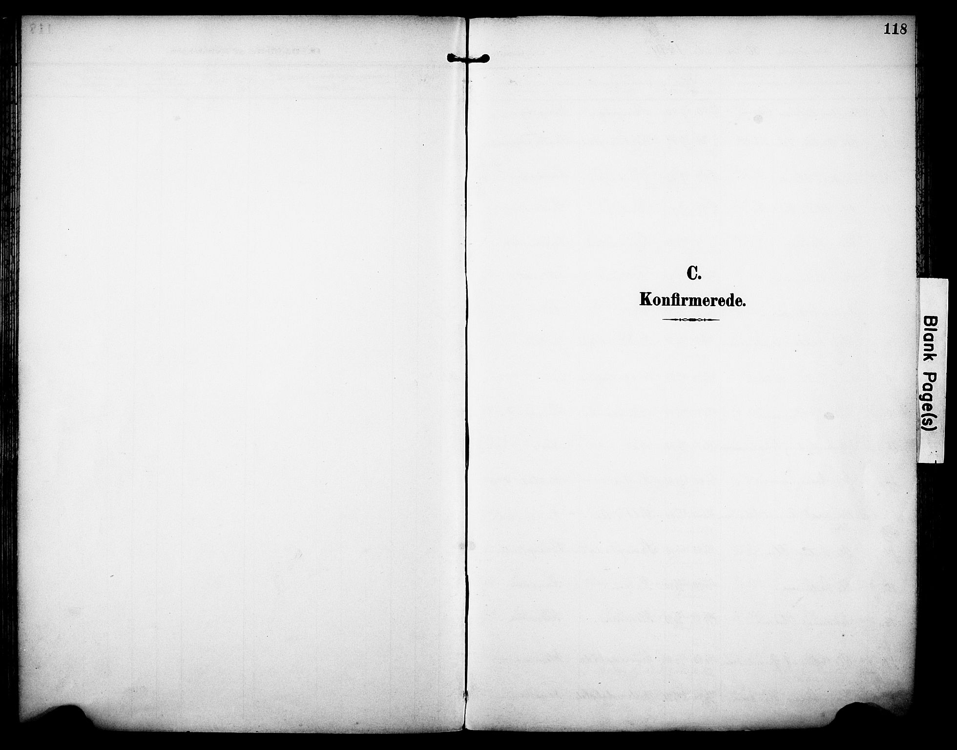 Rakkestad prestekontor Kirkebøker, SAO/A-2008/F/Fa/L0013: Ministerialbok nr. I 13, 1894-1908, s. 118