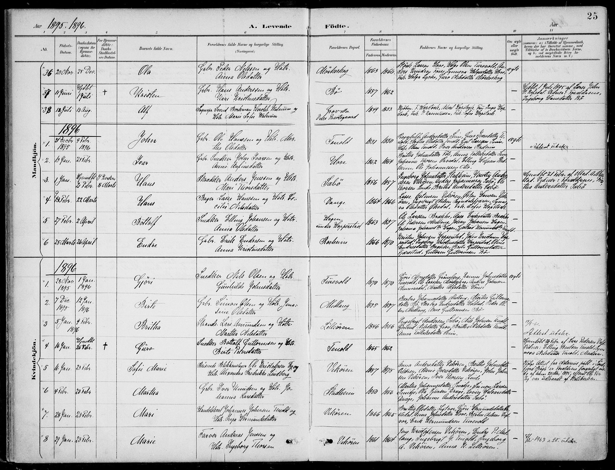 Vik sokneprestembete, AV/SAB-A-81501/H/Haa/Haab/L0002: Ministerialbok nr. B  2, 1891-1907, s. 25