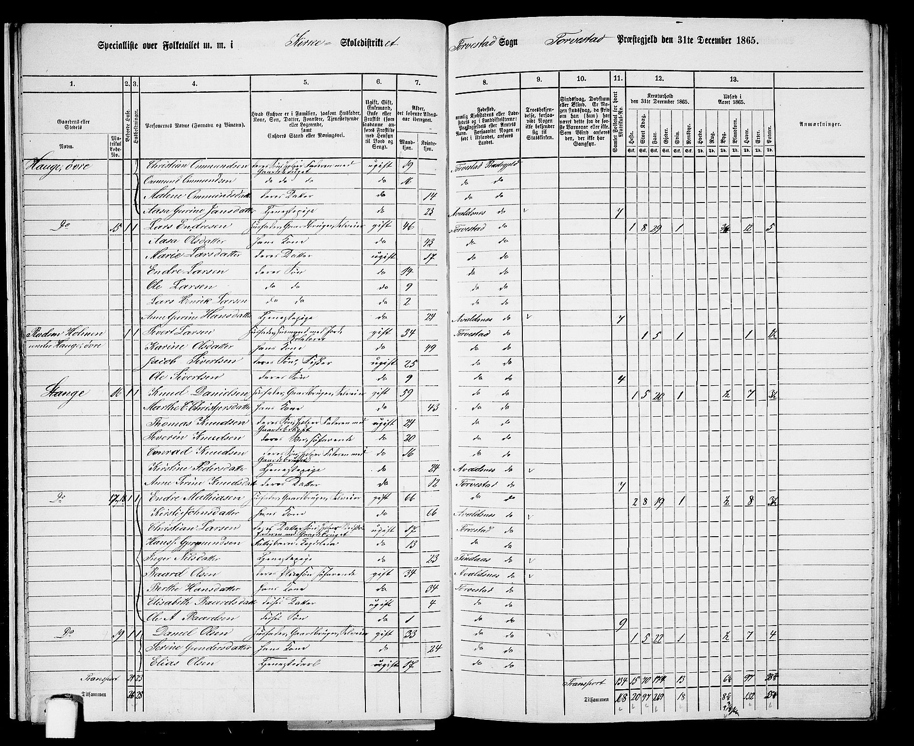 RA, Folketelling 1865 for 1152L Torvastad prestegjeld, Torvastad sokn, Skåre sokn og Utsira sokn, 1865, s. 21