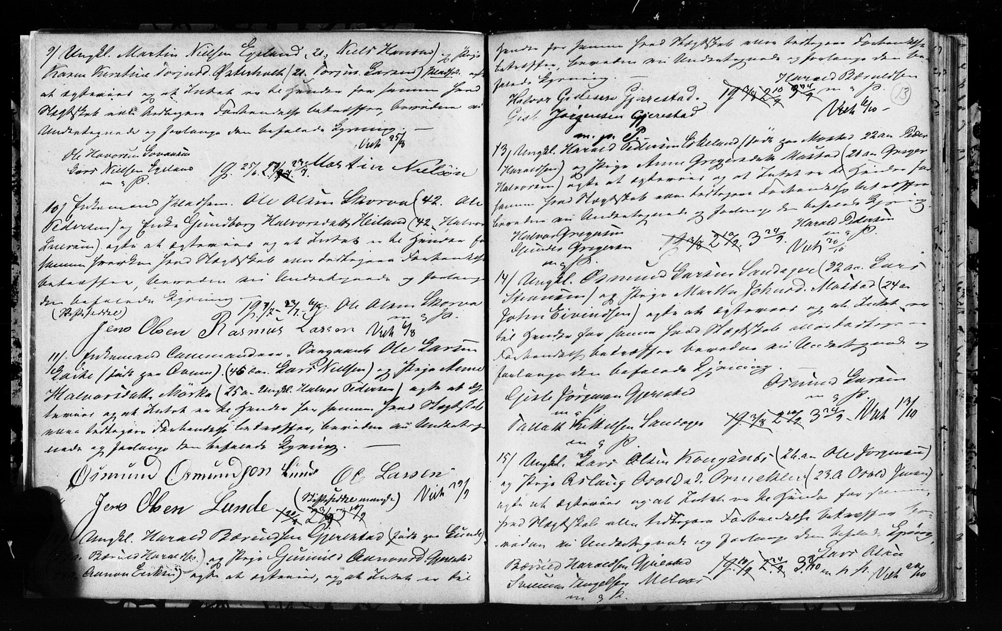 Gjerstad sokneprestkontor, AV/SAK-1111-0014/J/Jd/L0010: Forlovererklæringer nr. A VI 44, 1873-1889, s. 13