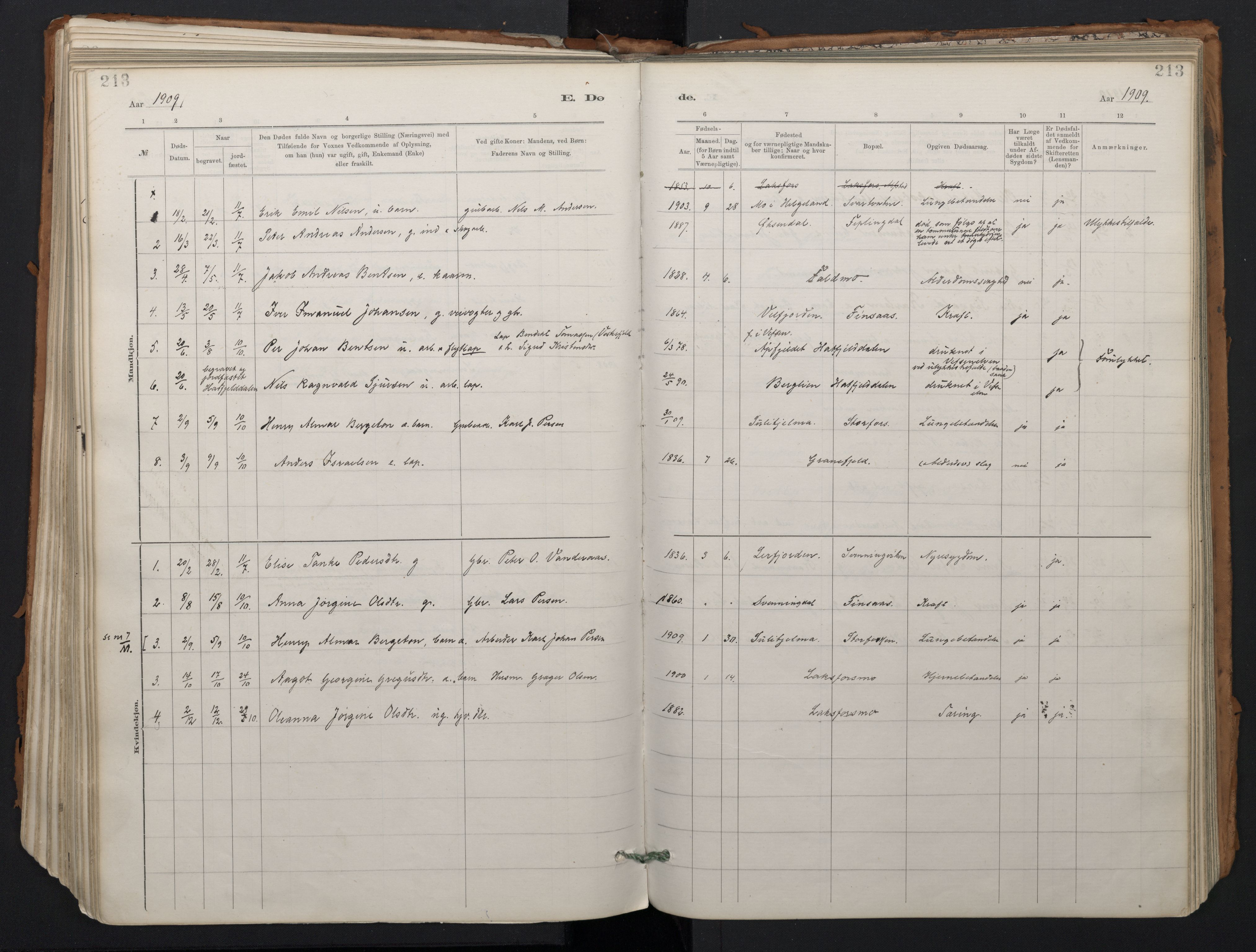 Ministerialprotokoller, klokkerbøker og fødselsregistre - Nordland, AV/SAT-A-1459/824/L0338: Ministerialbok nr. 824A01, 1880-1915, s. 213