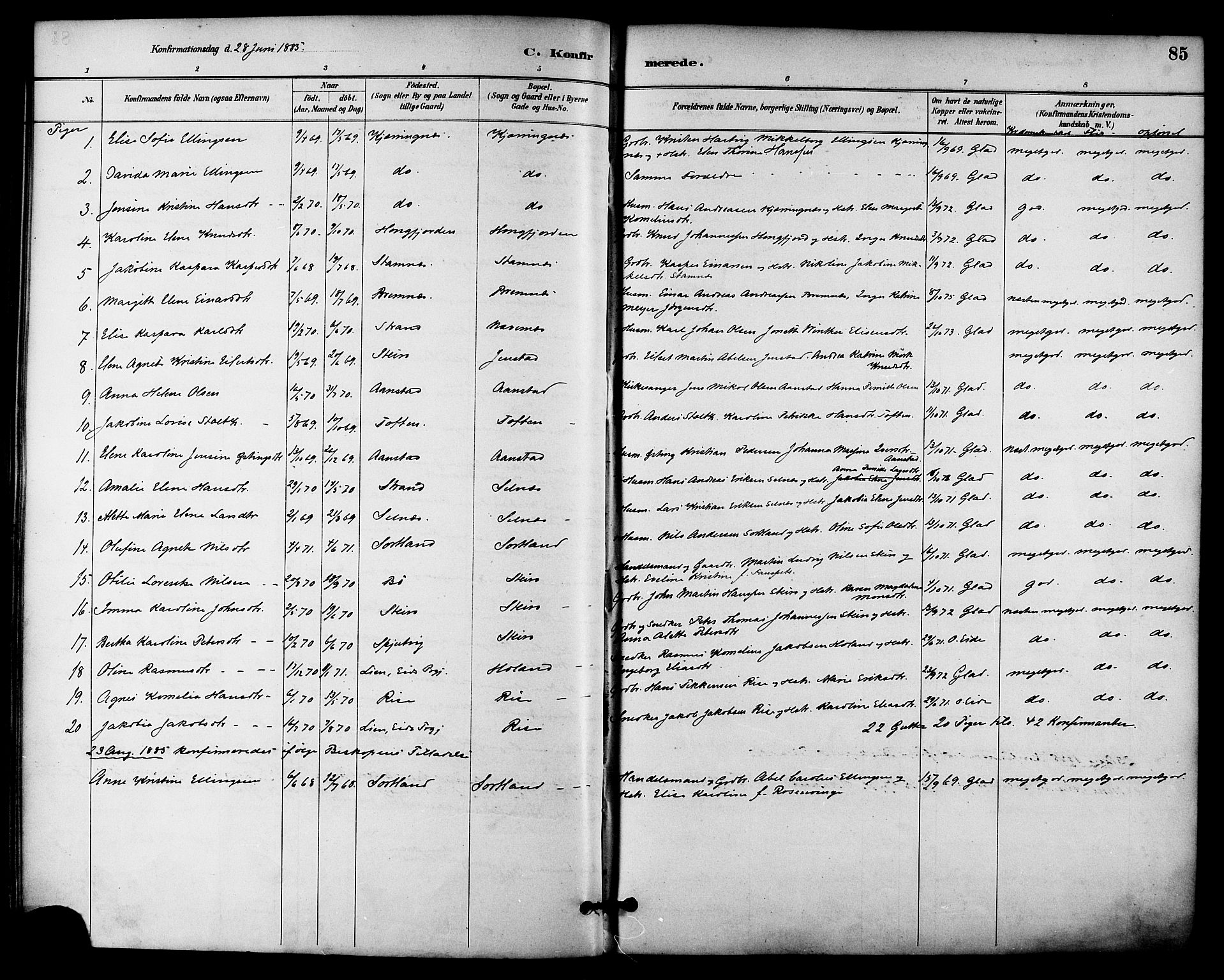 Ministerialprotokoller, klokkerbøker og fødselsregistre - Nordland, AV/SAT-A-1459/895/L1371: Ministerialbok nr. 895A06, 1885-1894, s. 85