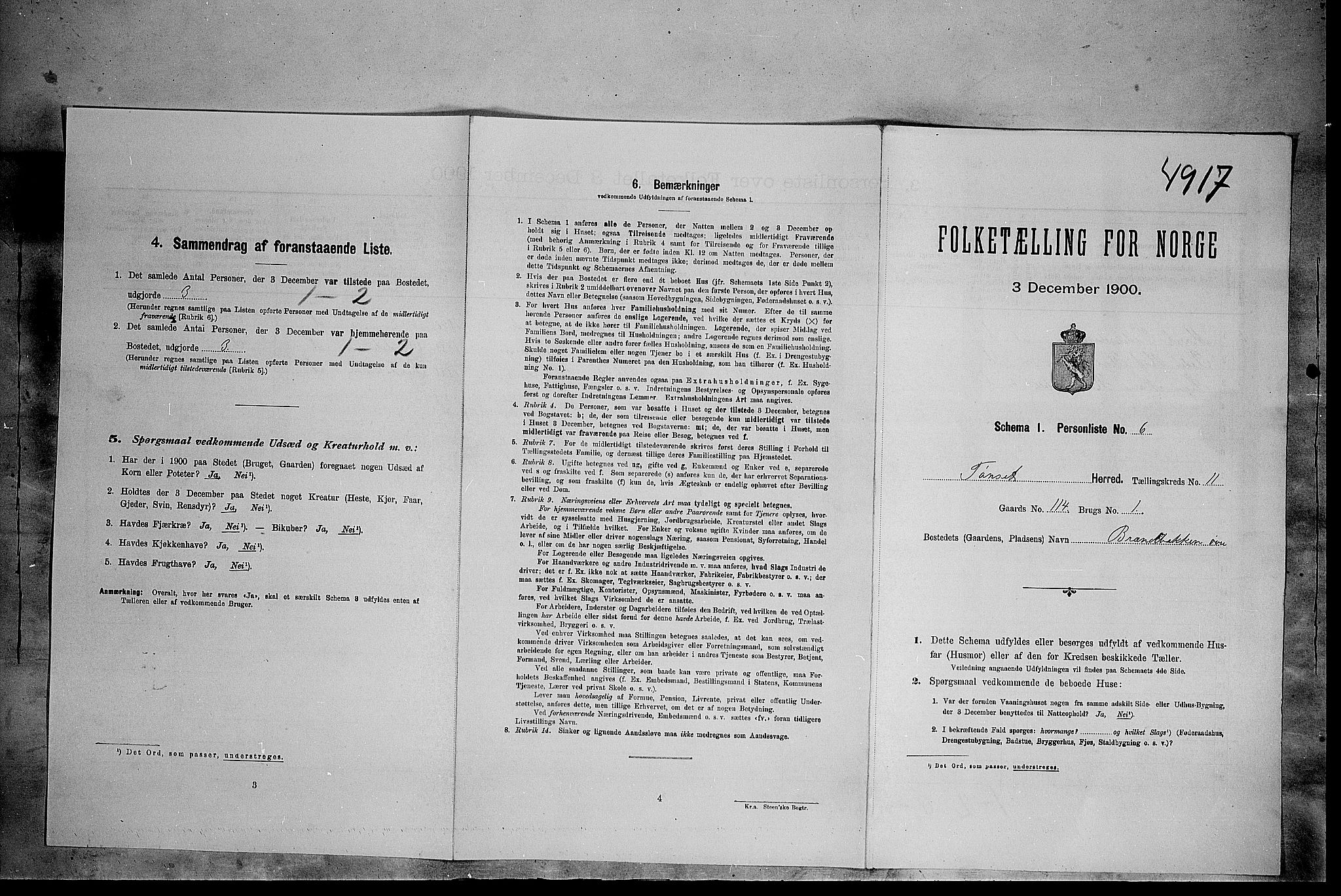 SAH, Folketelling 1900 for 0437 Tynset herred, 1900, s. 1010