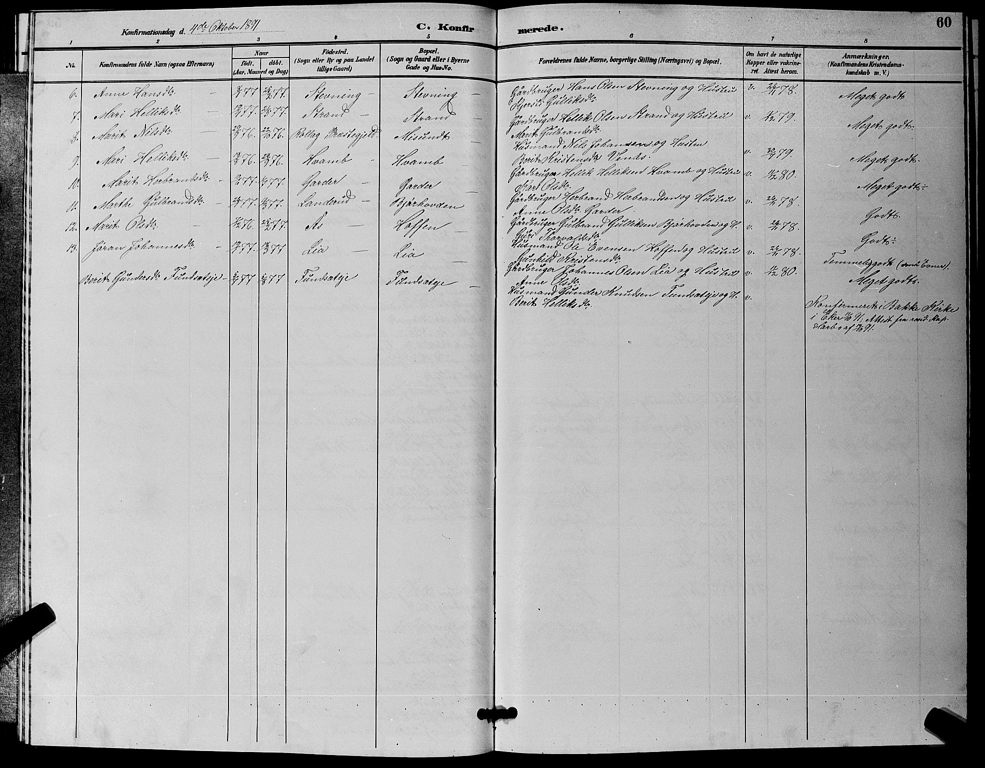 Flesberg kirkebøker, AV/SAKO-A-18/G/Ga/L0004: Klokkerbok nr. I 4 /1, 1890-1898, s. 60