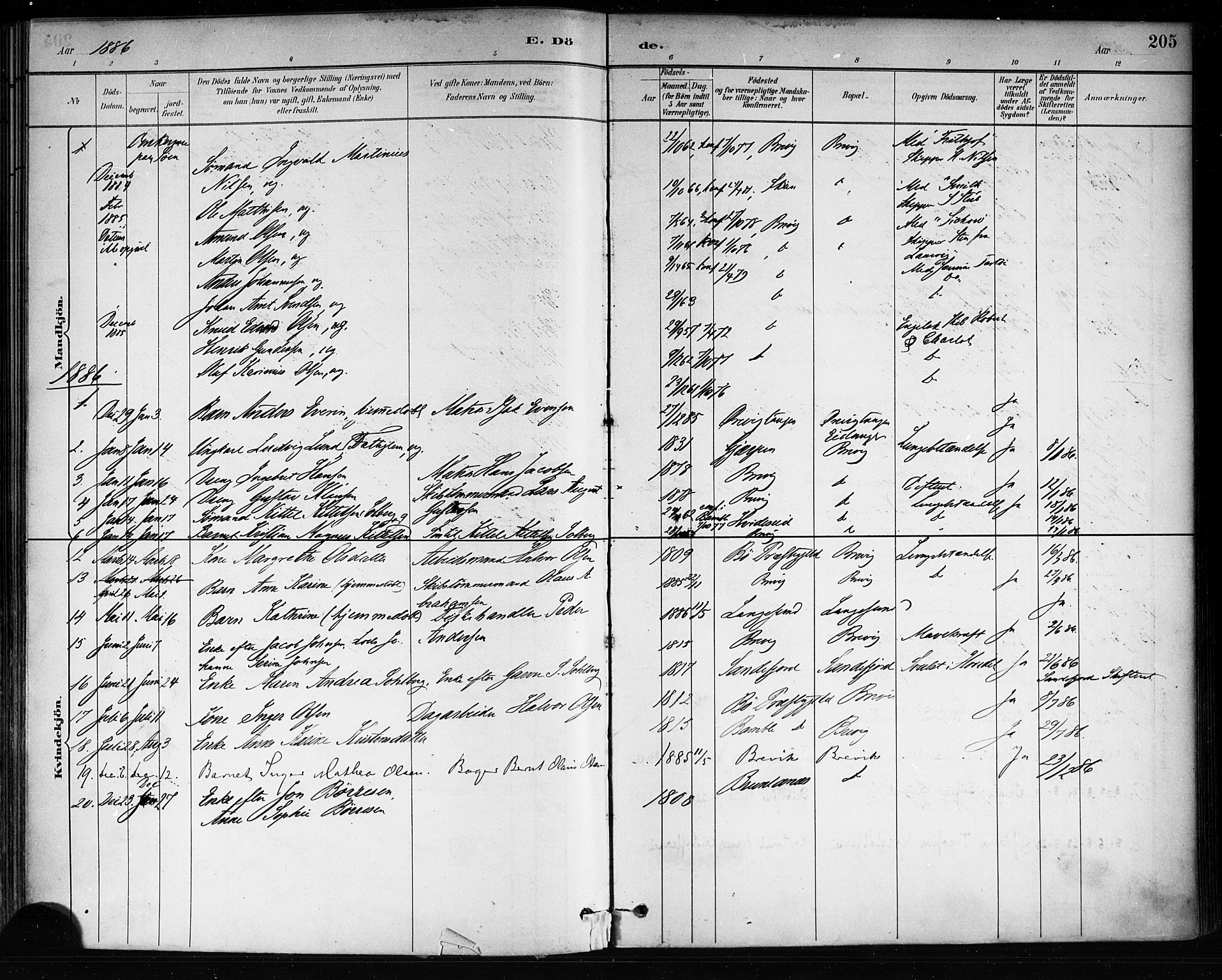 Brevik kirkebøker, AV/SAKO-A-255/F/Fa/L0007: Ministerialbok nr. 7, 1882-1900, s. 205
