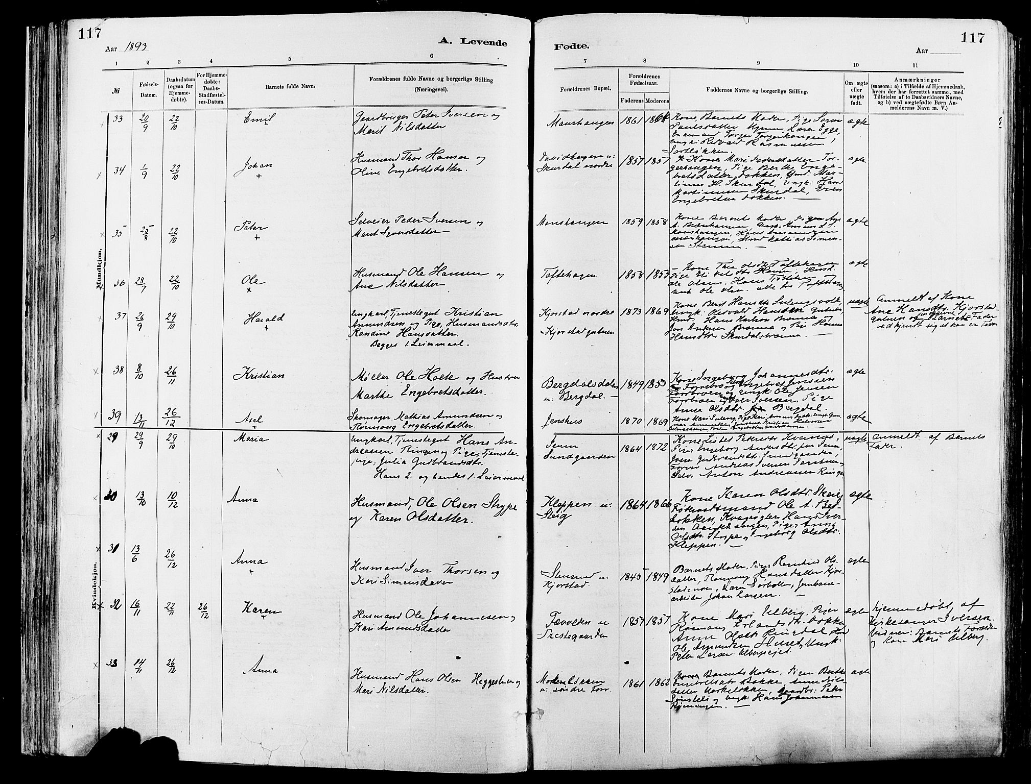 Sør-Fron prestekontor, SAH/PREST-010/H/Ha/Haa/L0003: Ministerialbok nr. 3, 1881-1897, s. 117