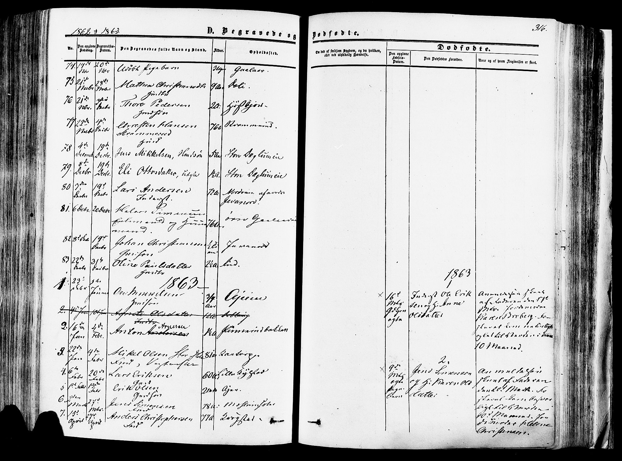 Vang prestekontor, Hedmark, AV/SAH-PREST-008/H/Ha/Haa/L0013: Ministerialbok nr. 13, 1855-1879, s. 316