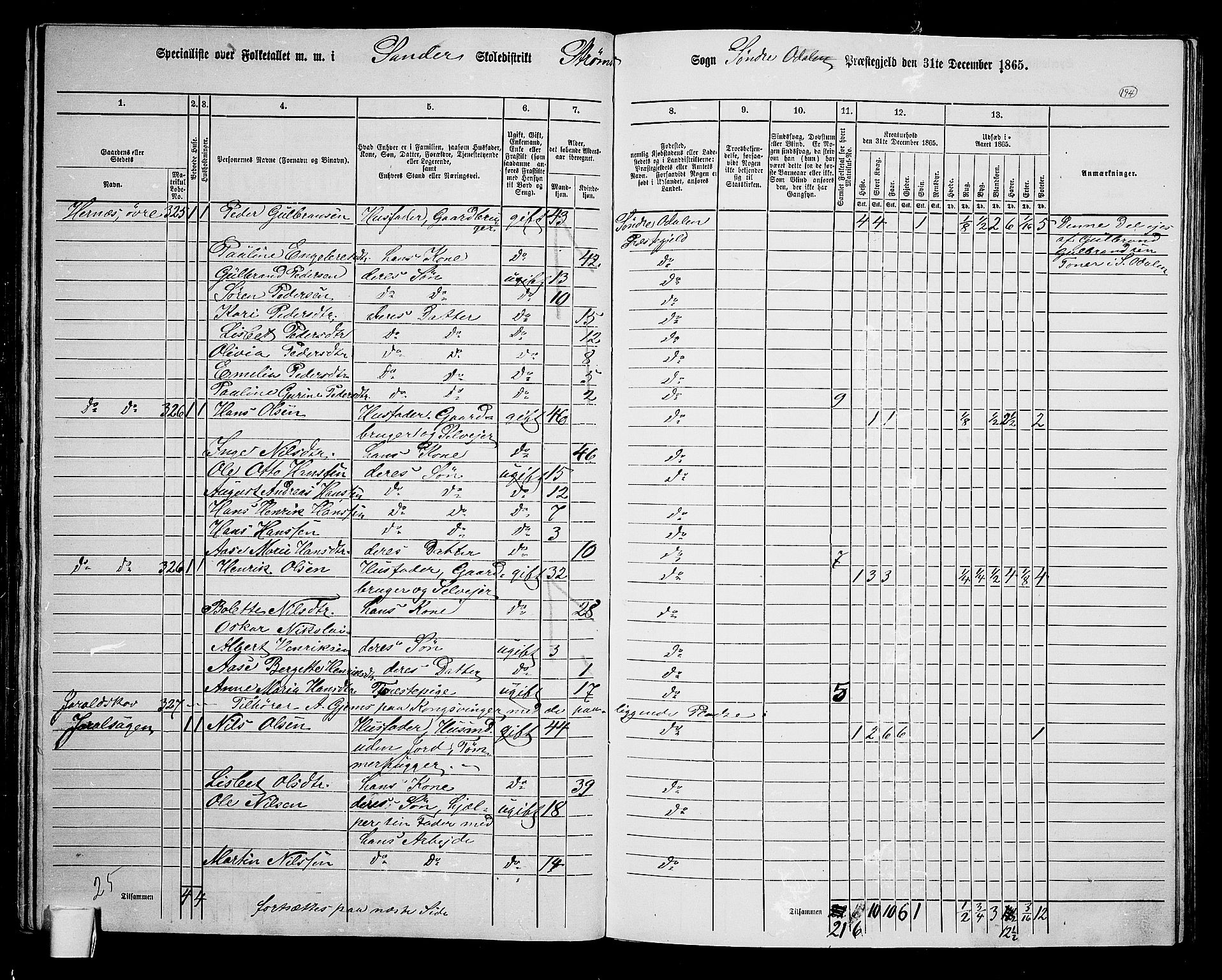 RA, Folketelling 1865 for 0419P Sør-Odal prestegjeld, 1865, s. 174