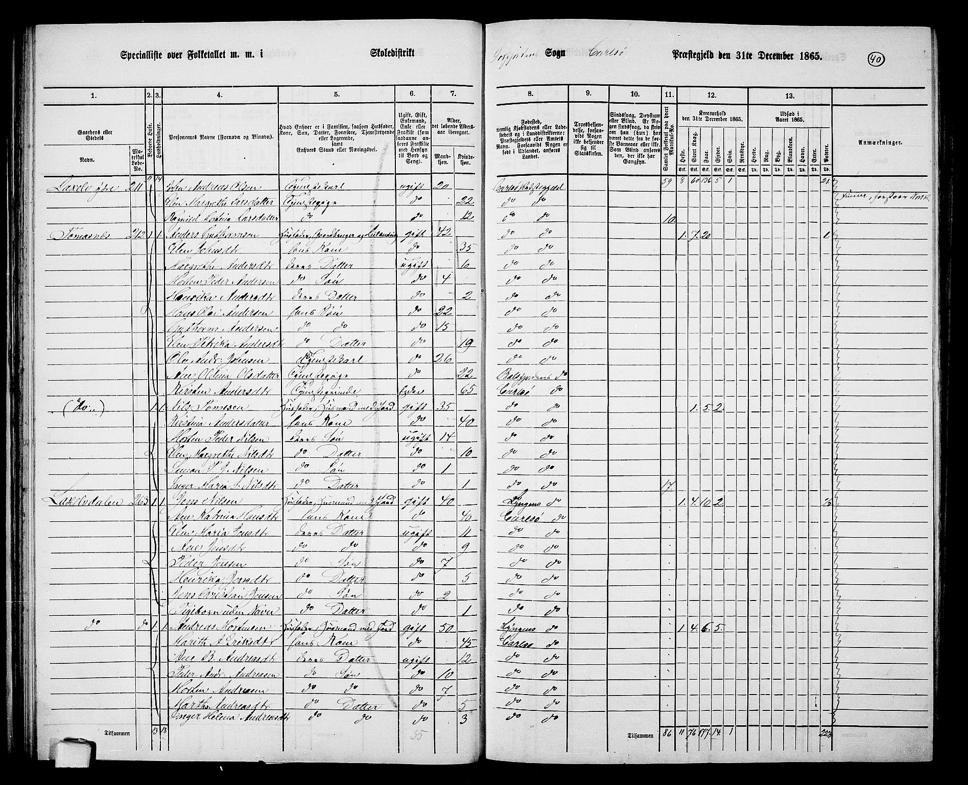 RA, Folketelling 1865 for 1936P Karlsøy prestegjeld, 1865, s. 40