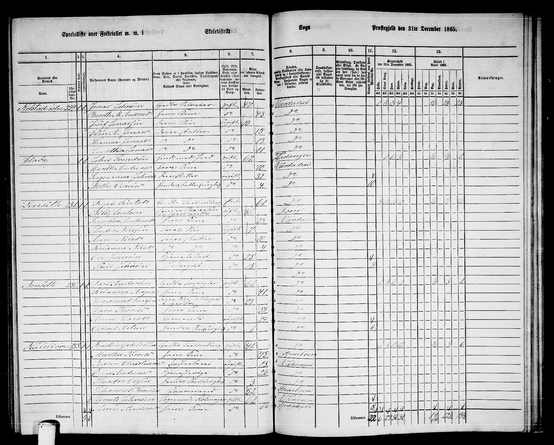 RA, Folketelling 1865 for 1721P Verdal prestegjeld, 1865, s. 245
