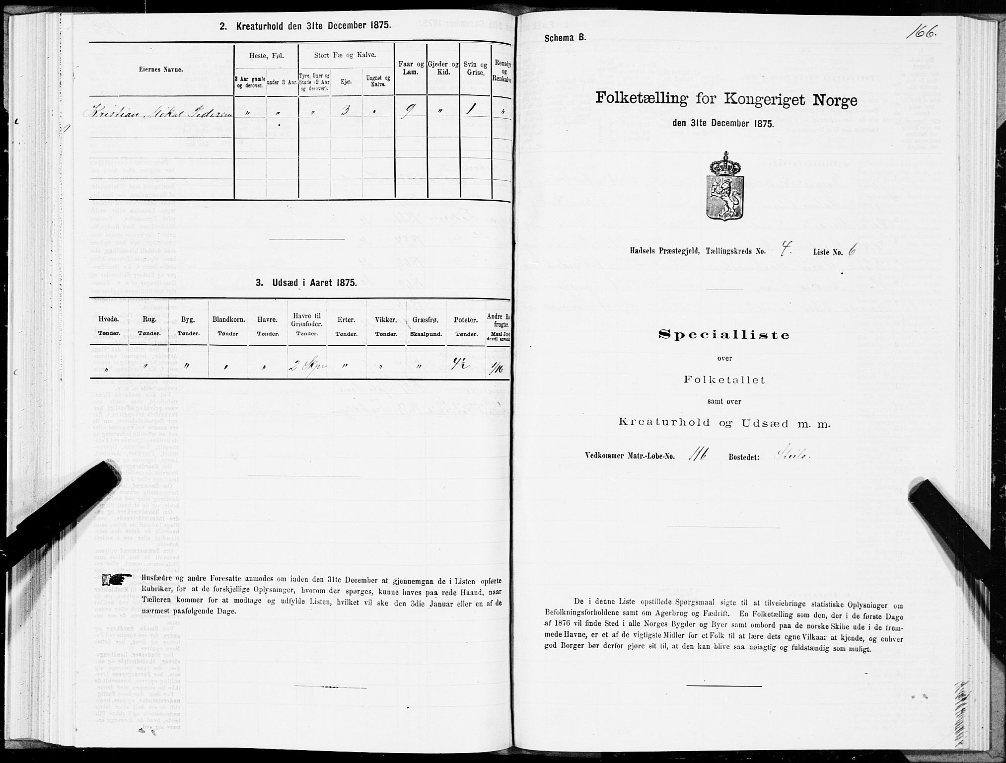 SAT, Folketelling 1875 for 1866P Hadsel prestegjeld, 1875, s. 2166