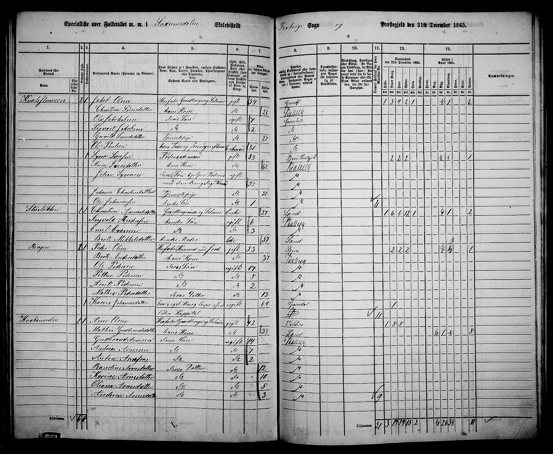 RA, Folketelling 1865 for 0524L Fåberg prestegjeld, Fåberg sokn og Lillehammer landsokn, 1865, s. 230