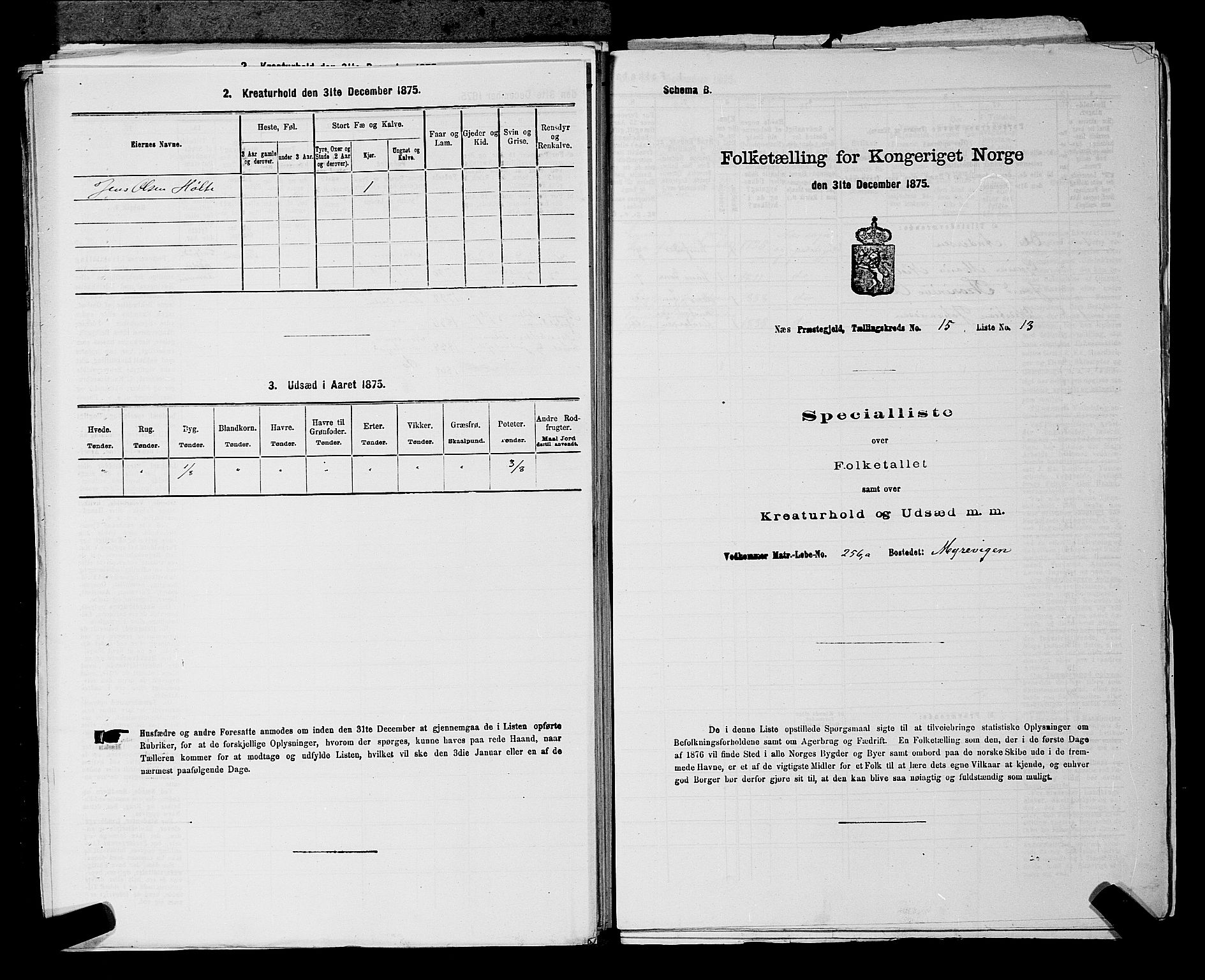 RA, Folketelling 1875 for 0236P Nes prestegjeld, 1875, s. 2785