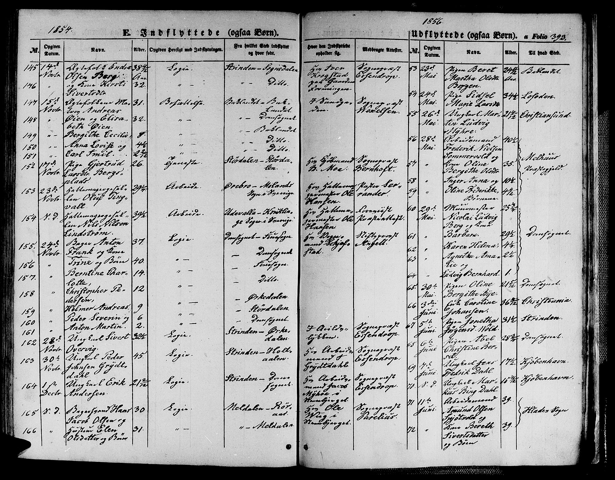 Ministerialprotokoller, klokkerbøker og fødselsregistre - Sør-Trøndelag, AV/SAT-A-1456/602/L0137: Klokkerbok nr. 602C05, 1846-1856, s. 393