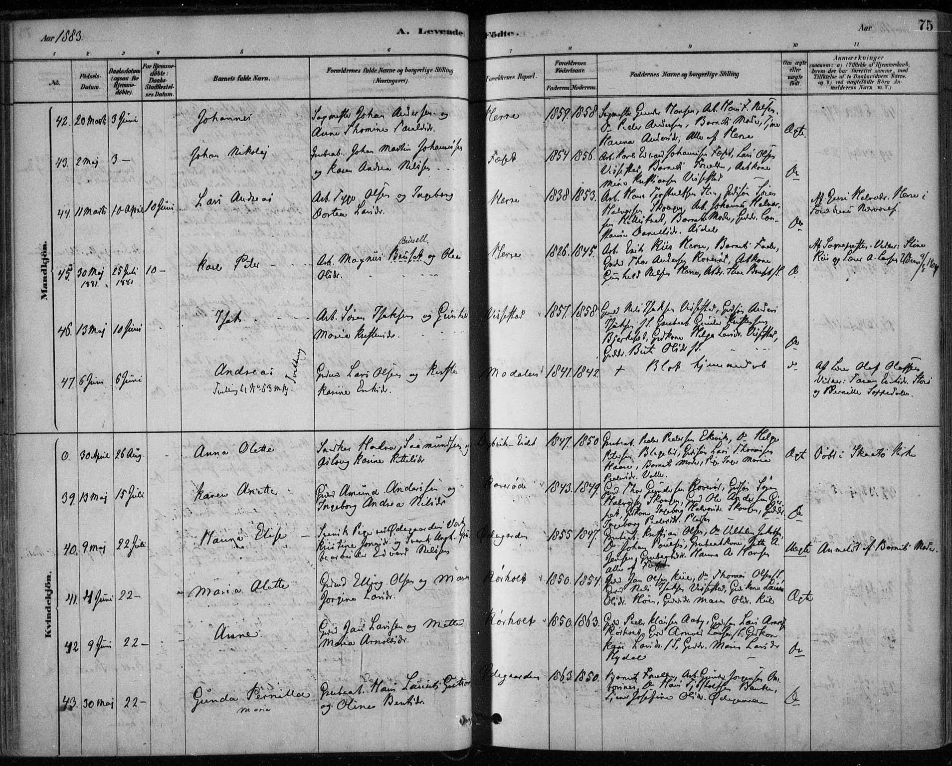 Bamble kirkebøker, AV/SAKO-A-253/F/Fa/L0007: Ministerialbok nr. I 7, 1878-1888, s. 75
