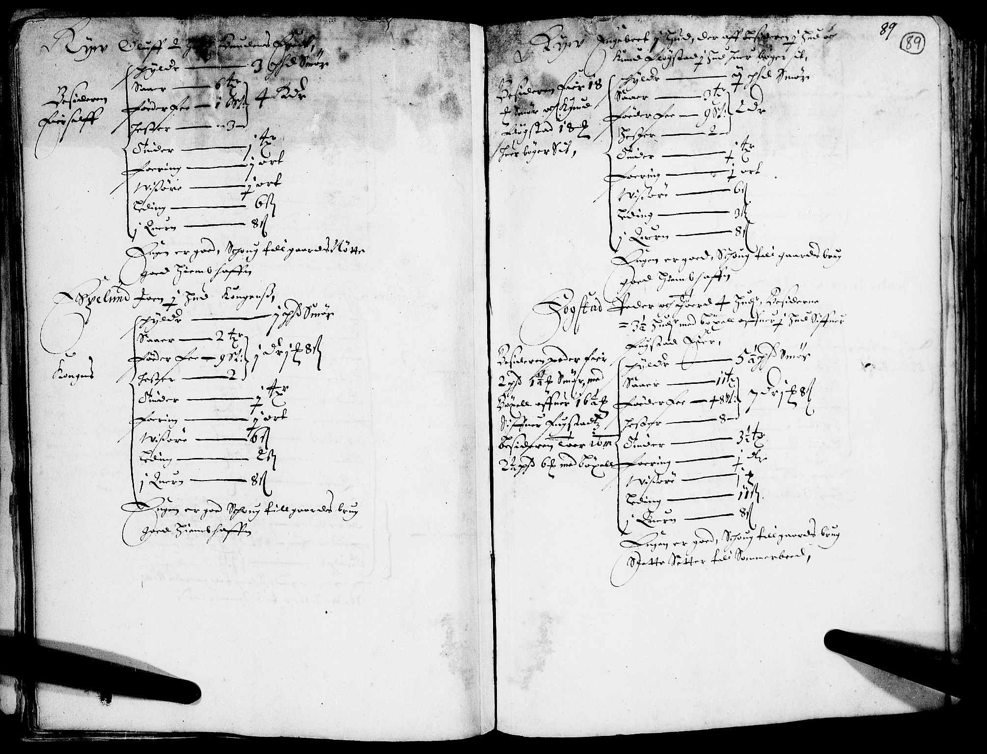 Rentekammeret inntil 1814, Realistisk ordnet avdeling, AV/RA-EA-4070/N/Nb/Nba/L0014: Gudbrandsdalen fogderi, 1. del, 1668, s. 88b-89a