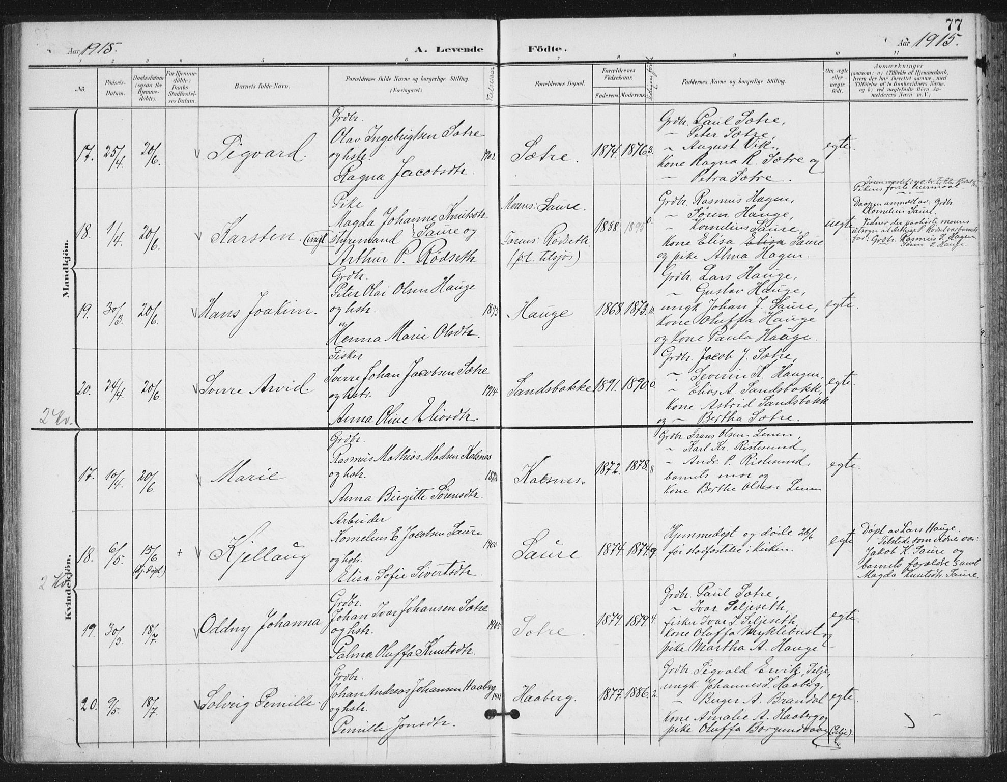 Ministerialprotokoller, klokkerbøker og fødselsregistre - Møre og Romsdal, AV/SAT-A-1454/503/L0038: Ministerialbok nr. 503A06, 1901-1917, s. 77