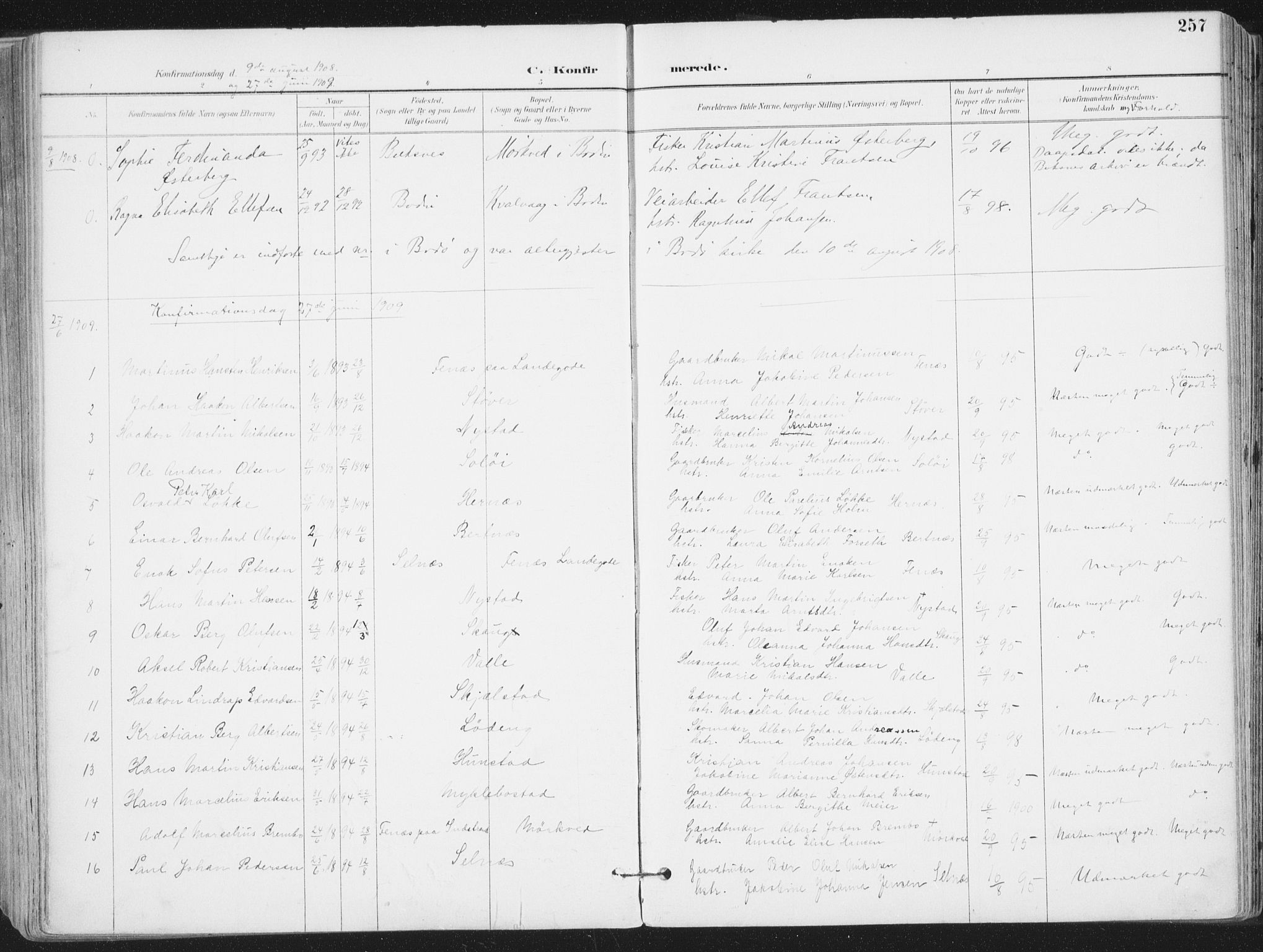 Ministerialprotokoller, klokkerbøker og fødselsregistre - Nordland, AV/SAT-A-1459/802/L0055: Ministerialbok nr. 802A02, 1894-1915, s. 257