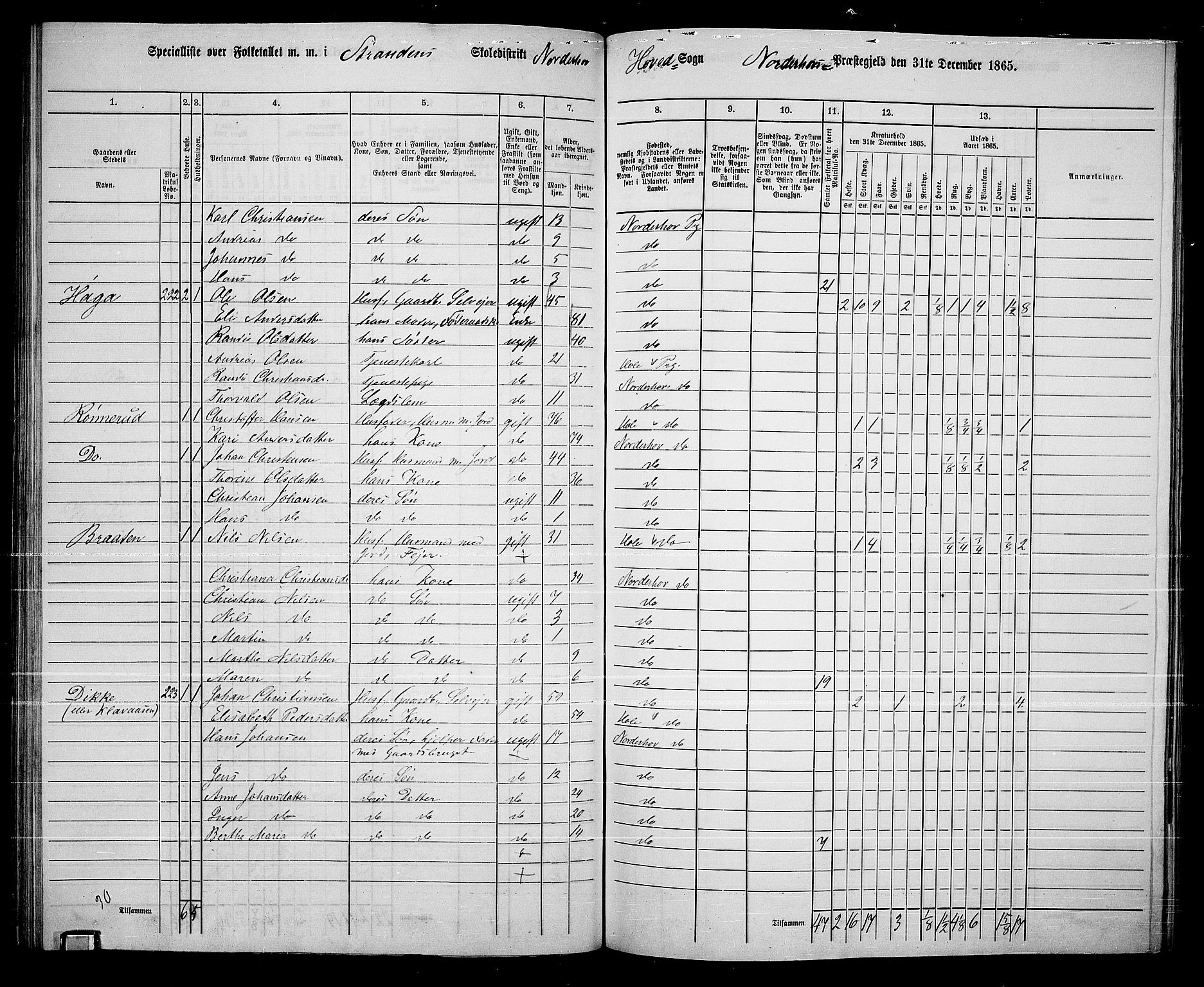 RA, Folketelling 1865 for 0613L Norderhov prestegjeld, Norderhov sokn, Haug sokn og Lunder sokn, 1865, s. 157