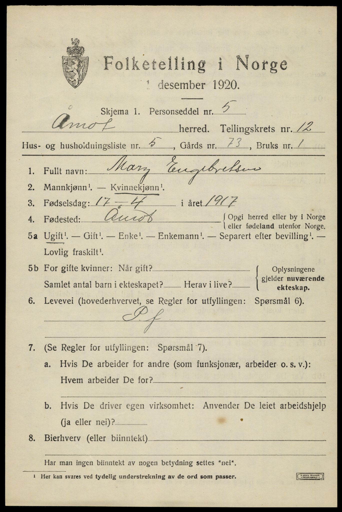SAH, Folketelling 1920 for 0429 Åmot herred, 1920, s. 9657